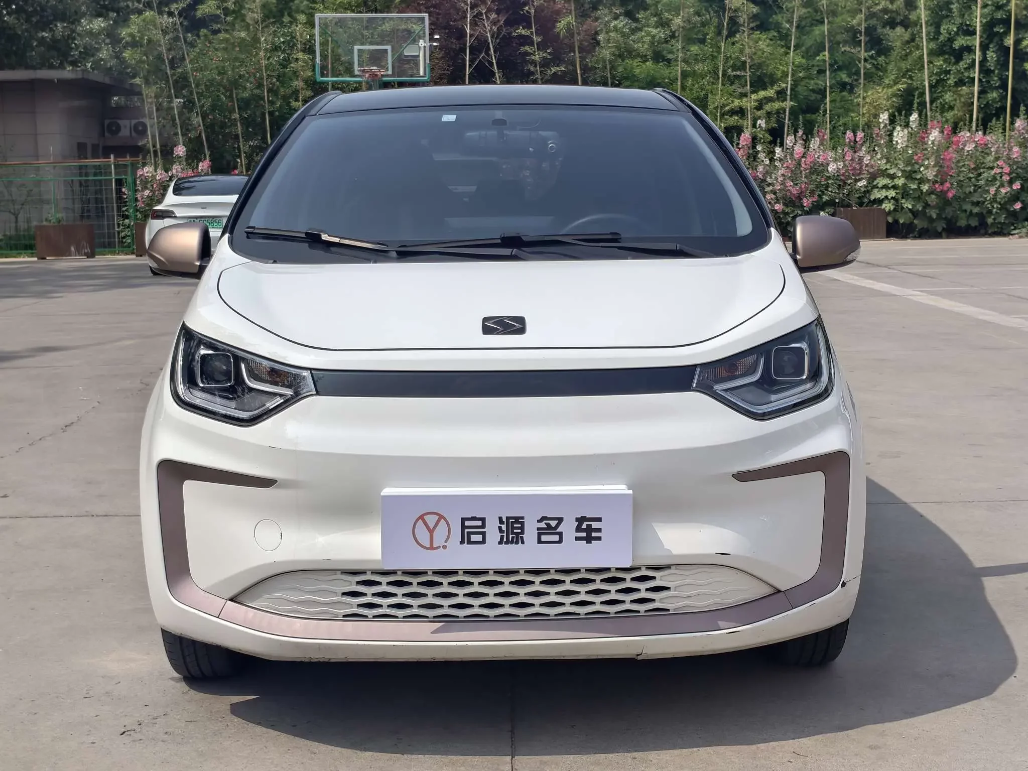 JAC (Sihao) Sihao Flower Fairy