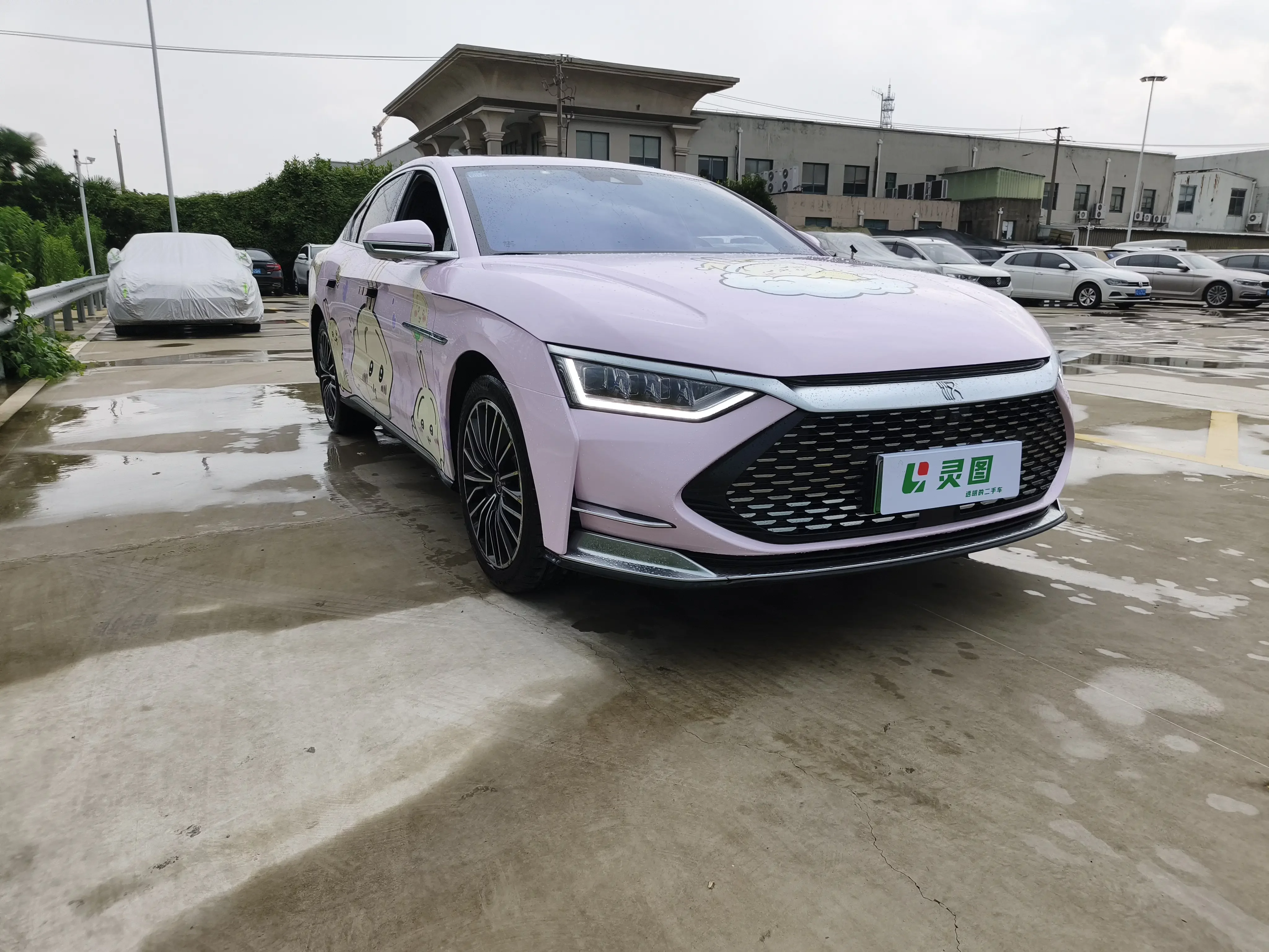 BYD HAN DM