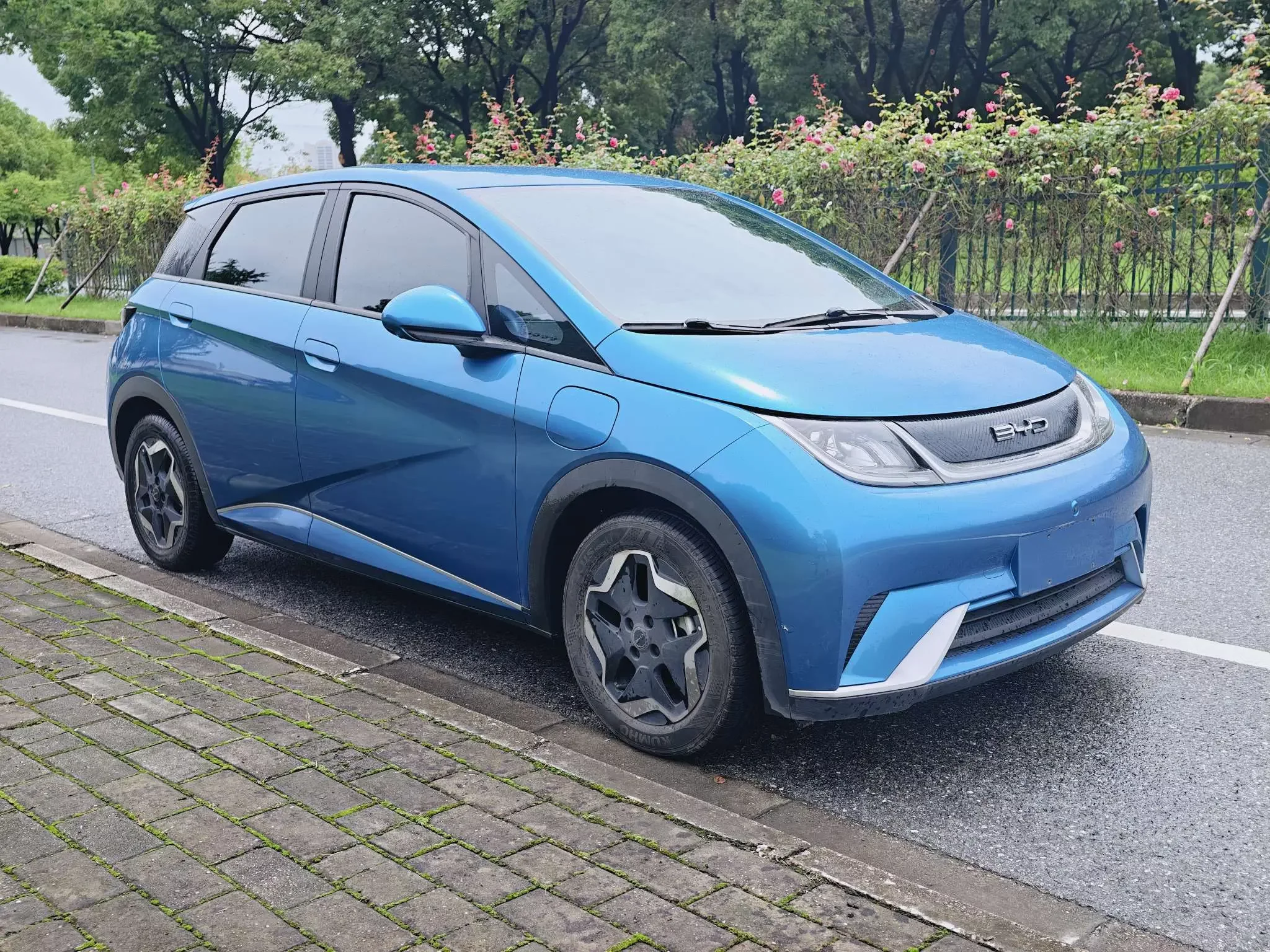 BYD dolphin