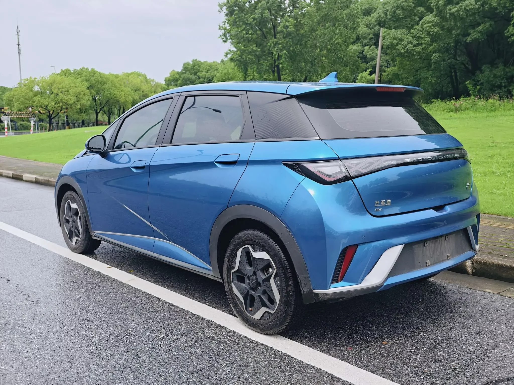 BYD dolphin