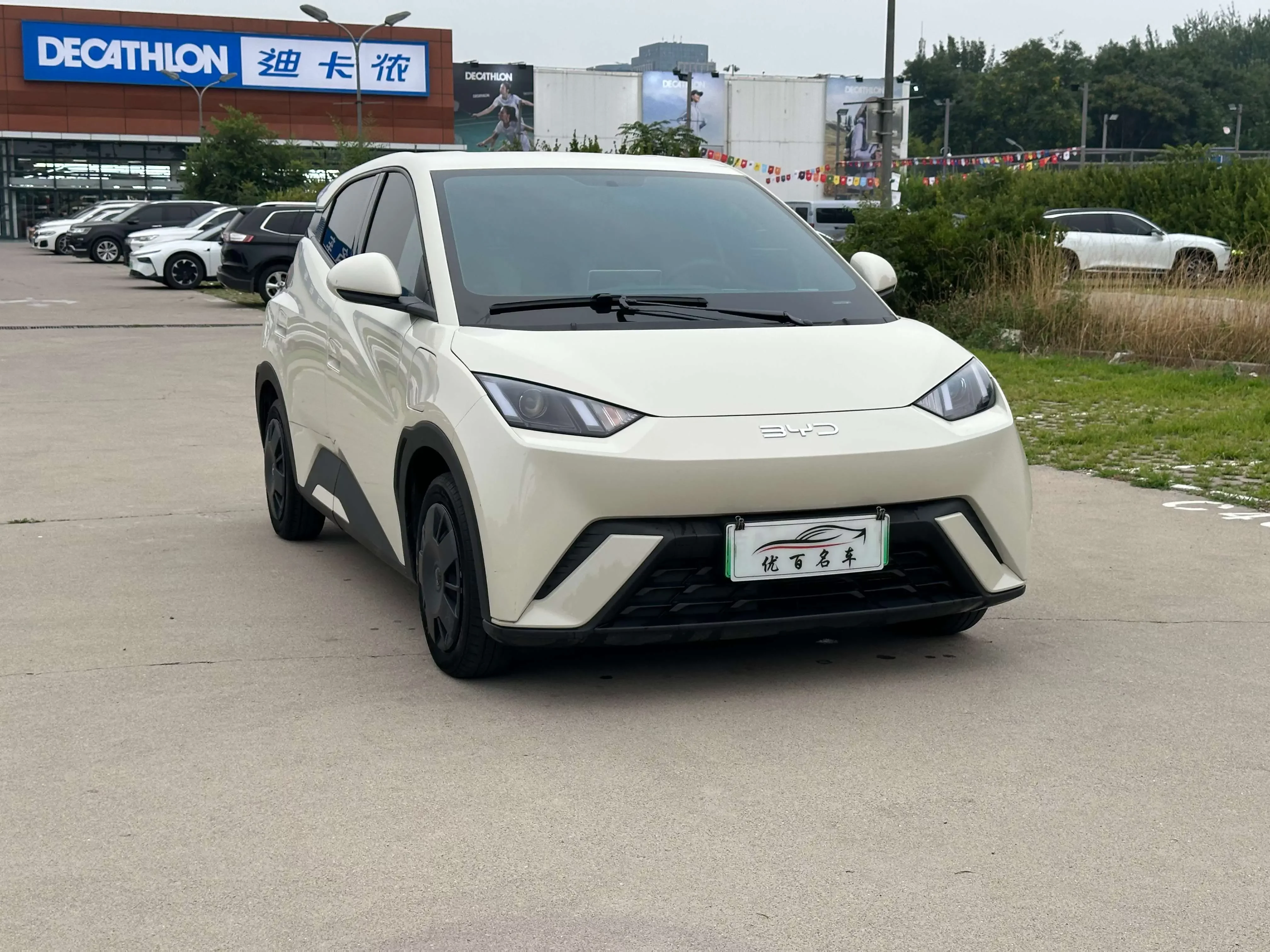 BYD seagull