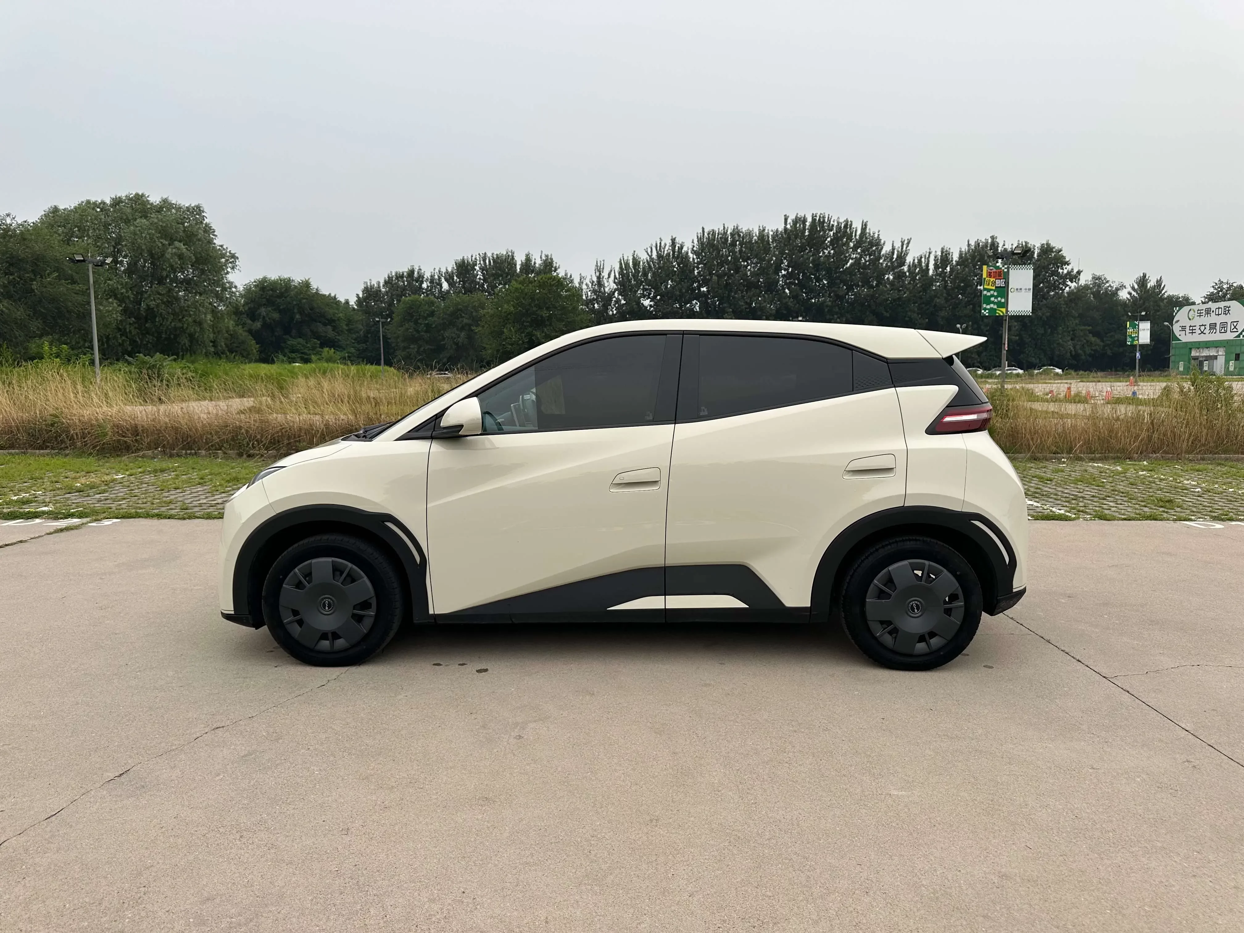 BYD seagull