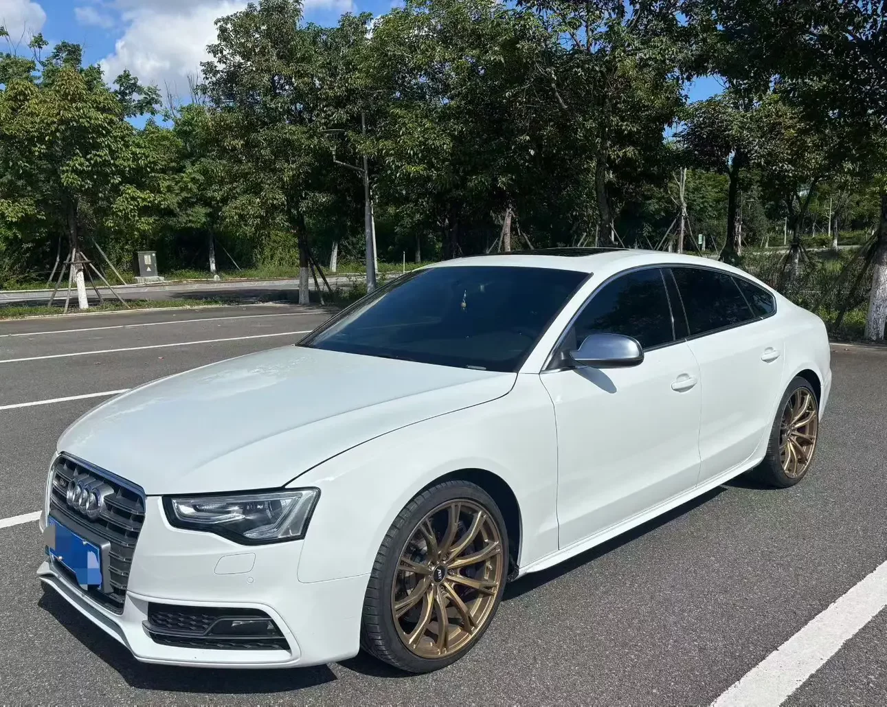 Audi S5  из Китая
