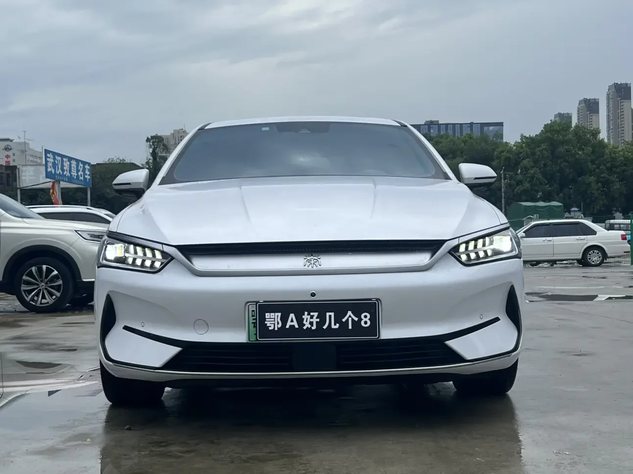 BYD Qin PLUS EV