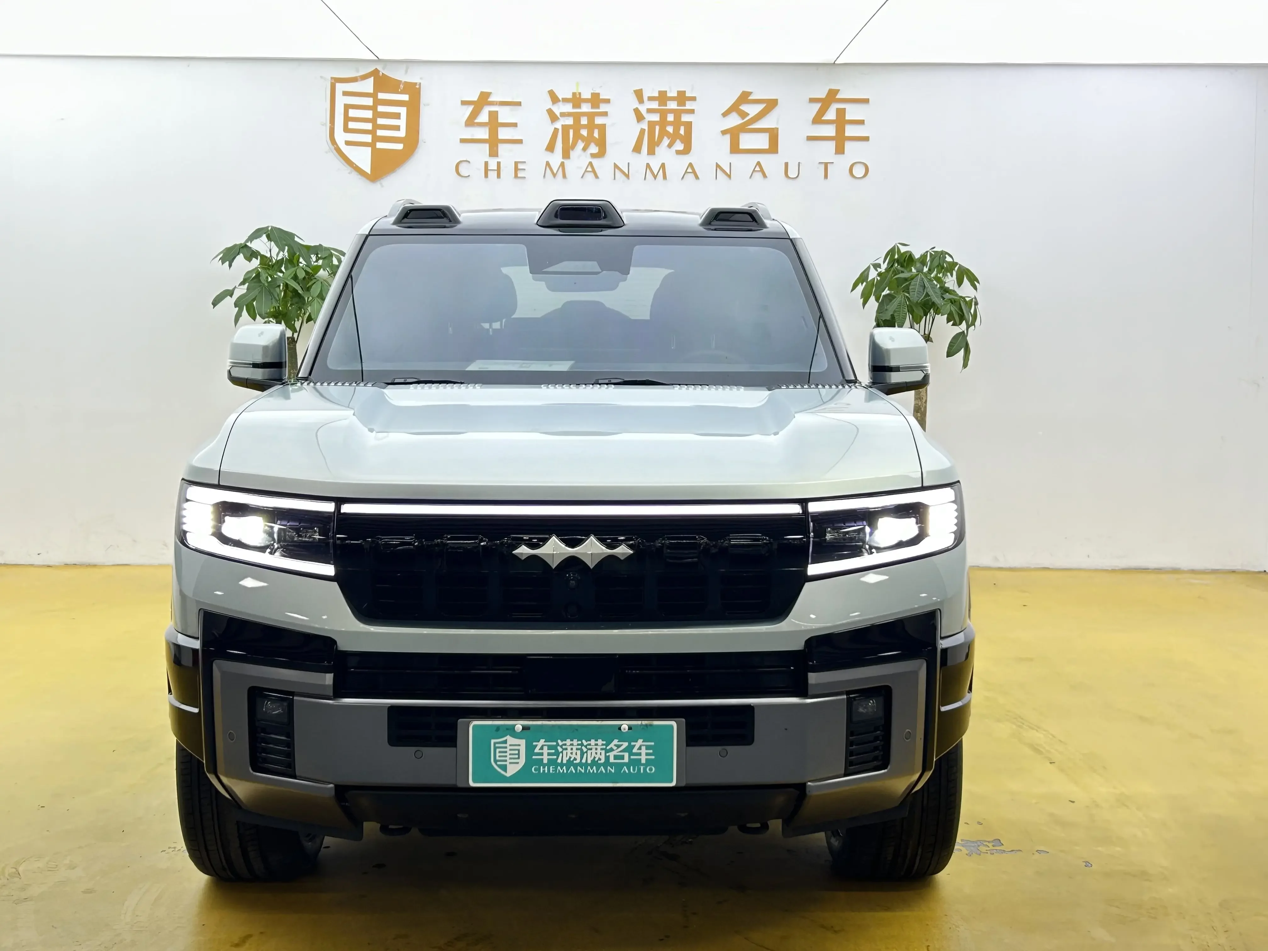 BYD Leopard Leopard 8