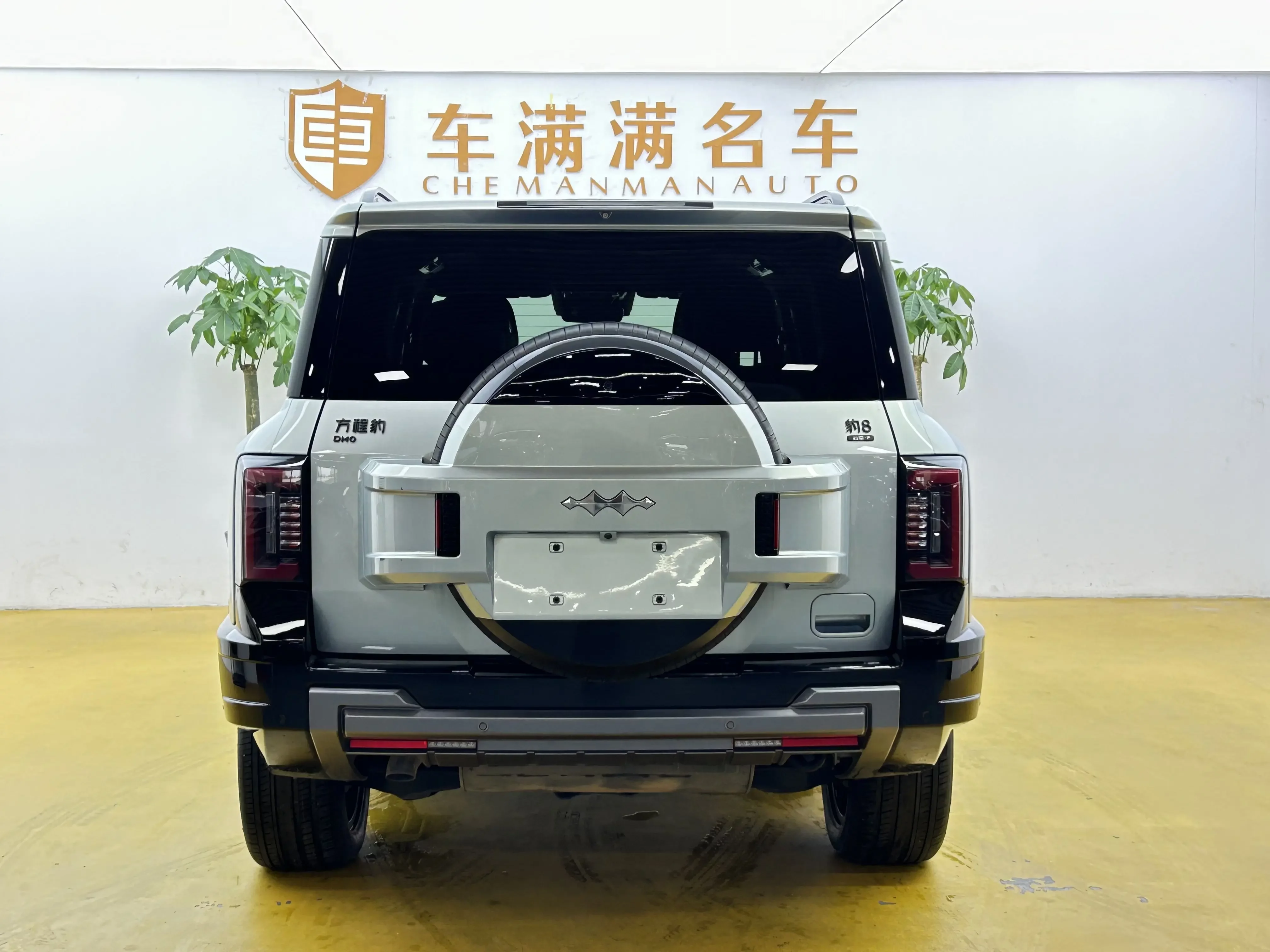 BYD Leopard Leopard 8