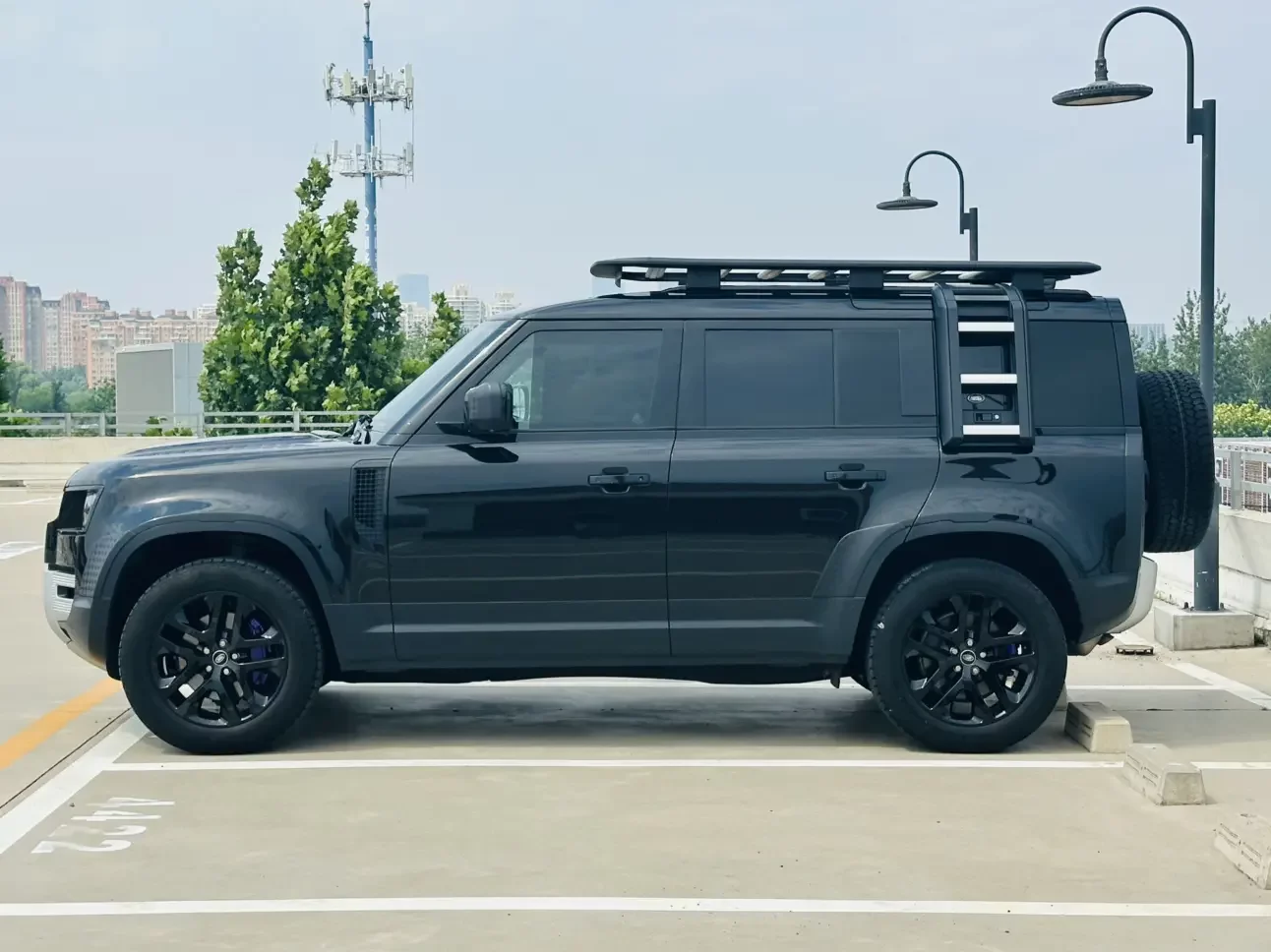 Land Rover guard