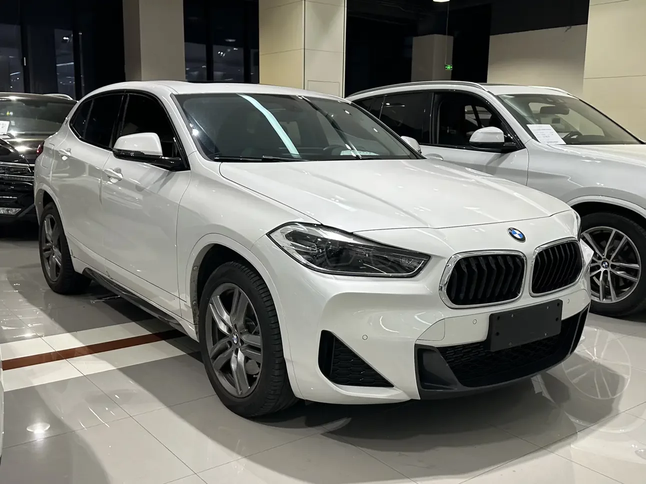 BMW X2