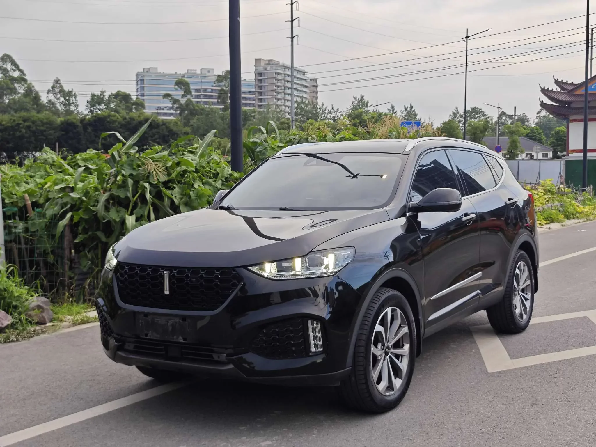 Wey Wei brand VV6
