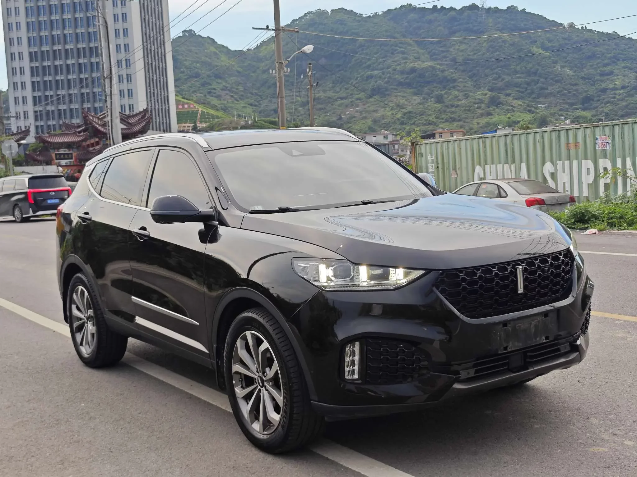 Wey Wei brand VV6
