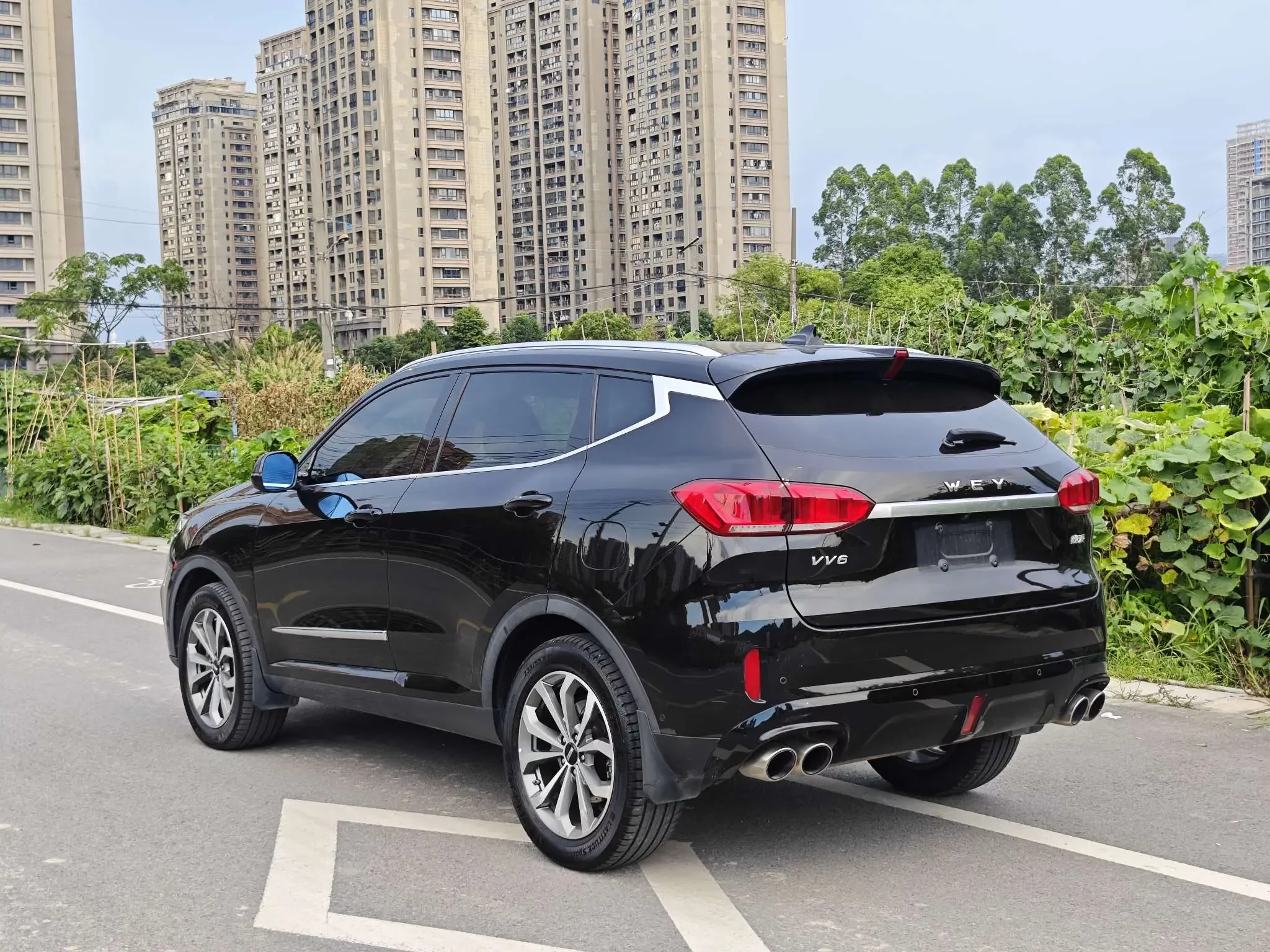 Wey Wei brand VV6