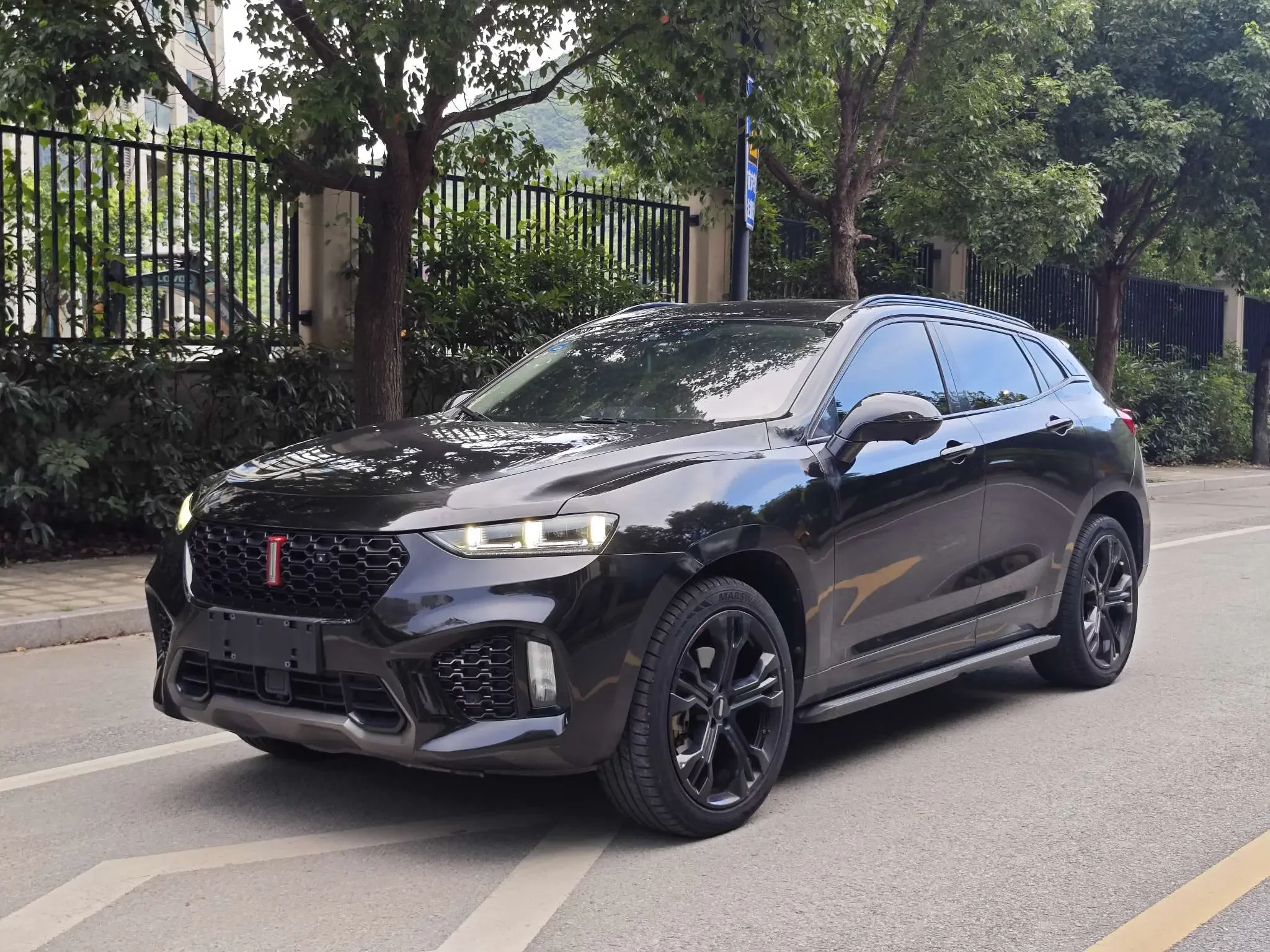 Wey Wei brand VV7
