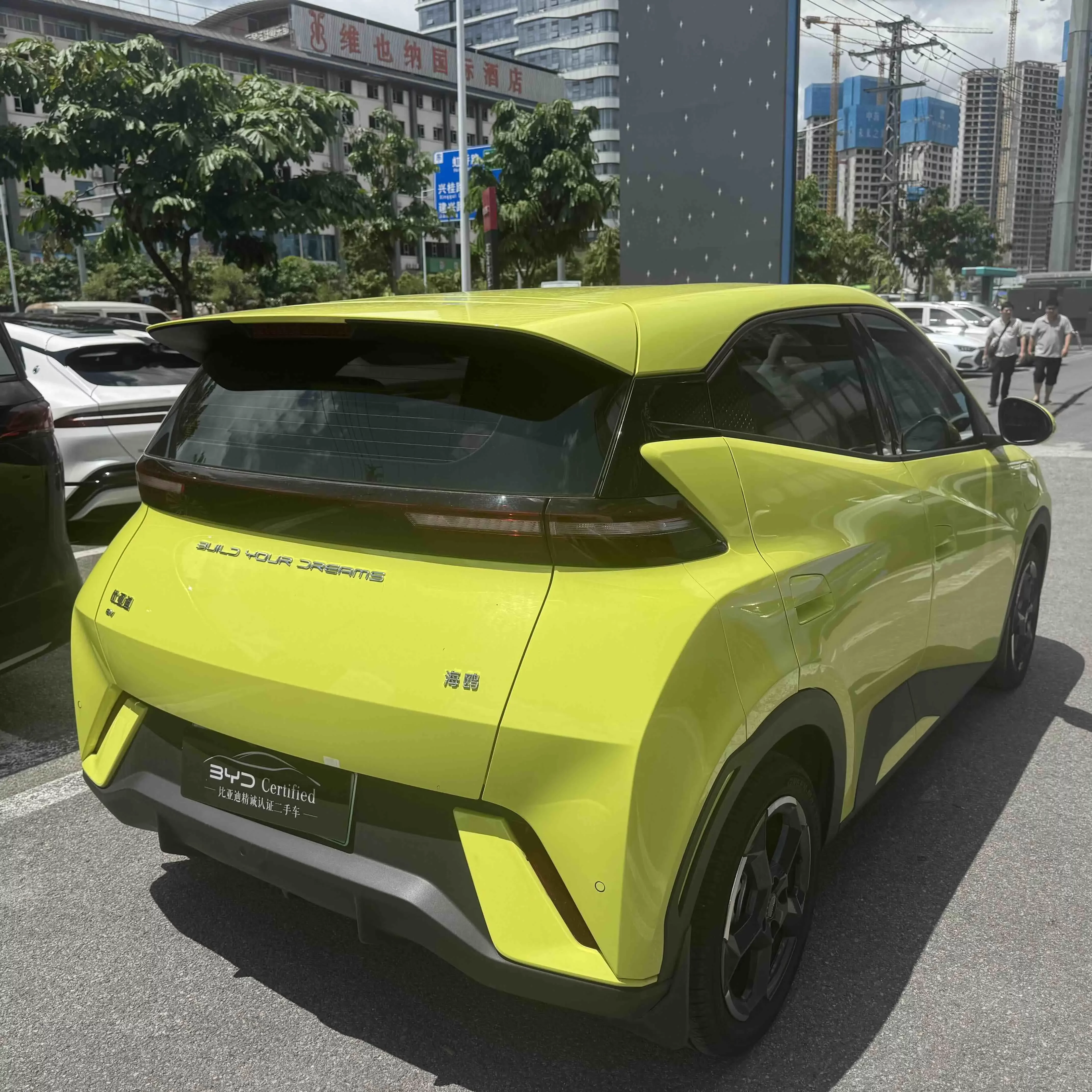 BYD seagull