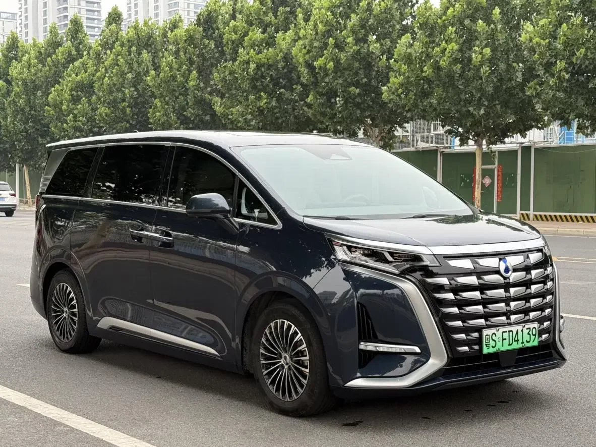 Denza D9 DM