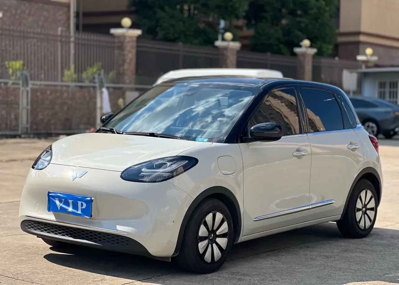 Wuling Bingo