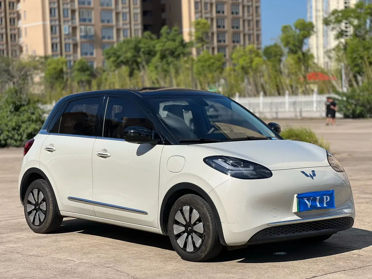 Wuling Bingo
