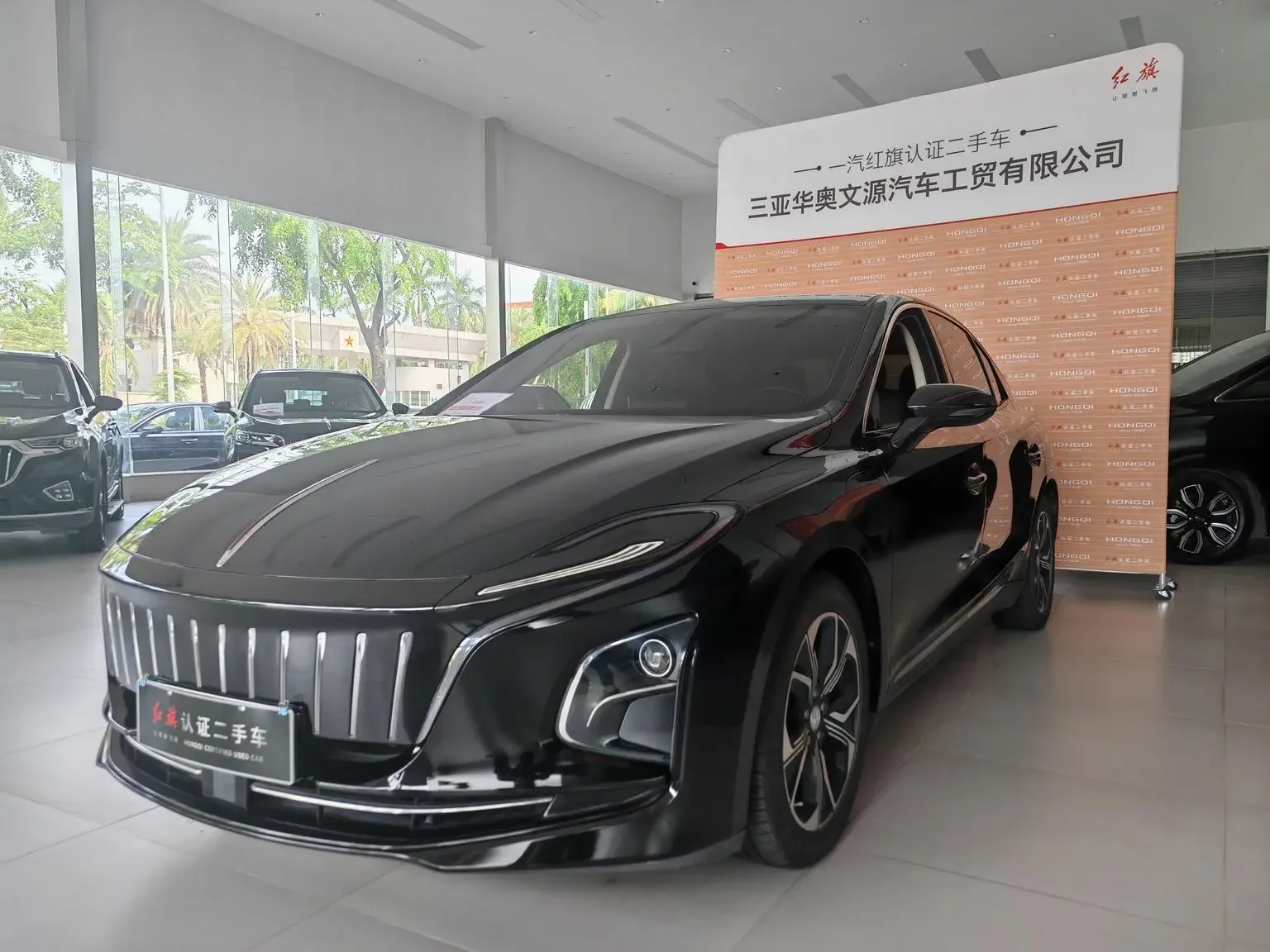 Hongqi E-QM5