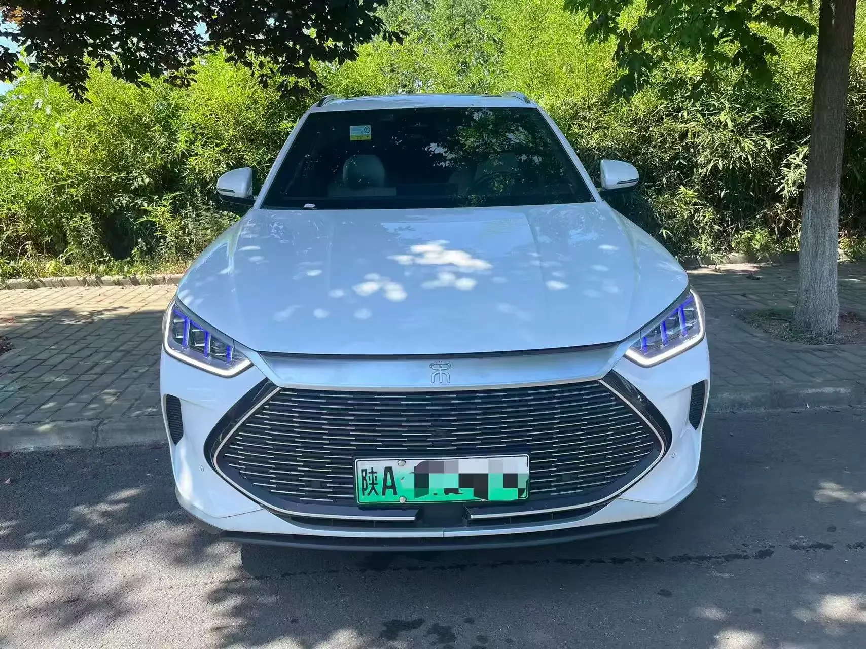 BYD Song PLUS DM