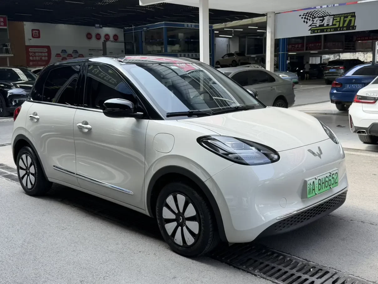 Wuling Bingo