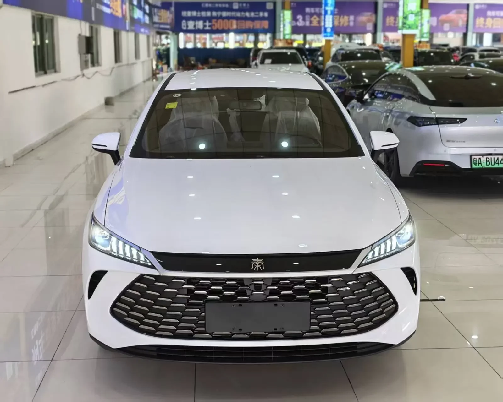 BYD Qin PLUS DM