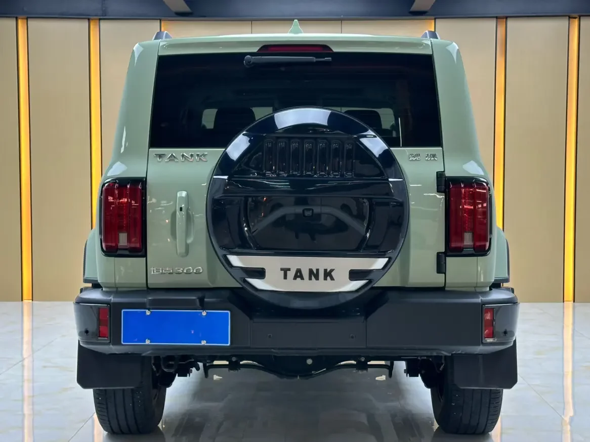 Tank 300