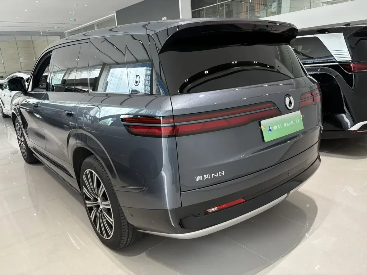 Denza Tengzhong N9 DM