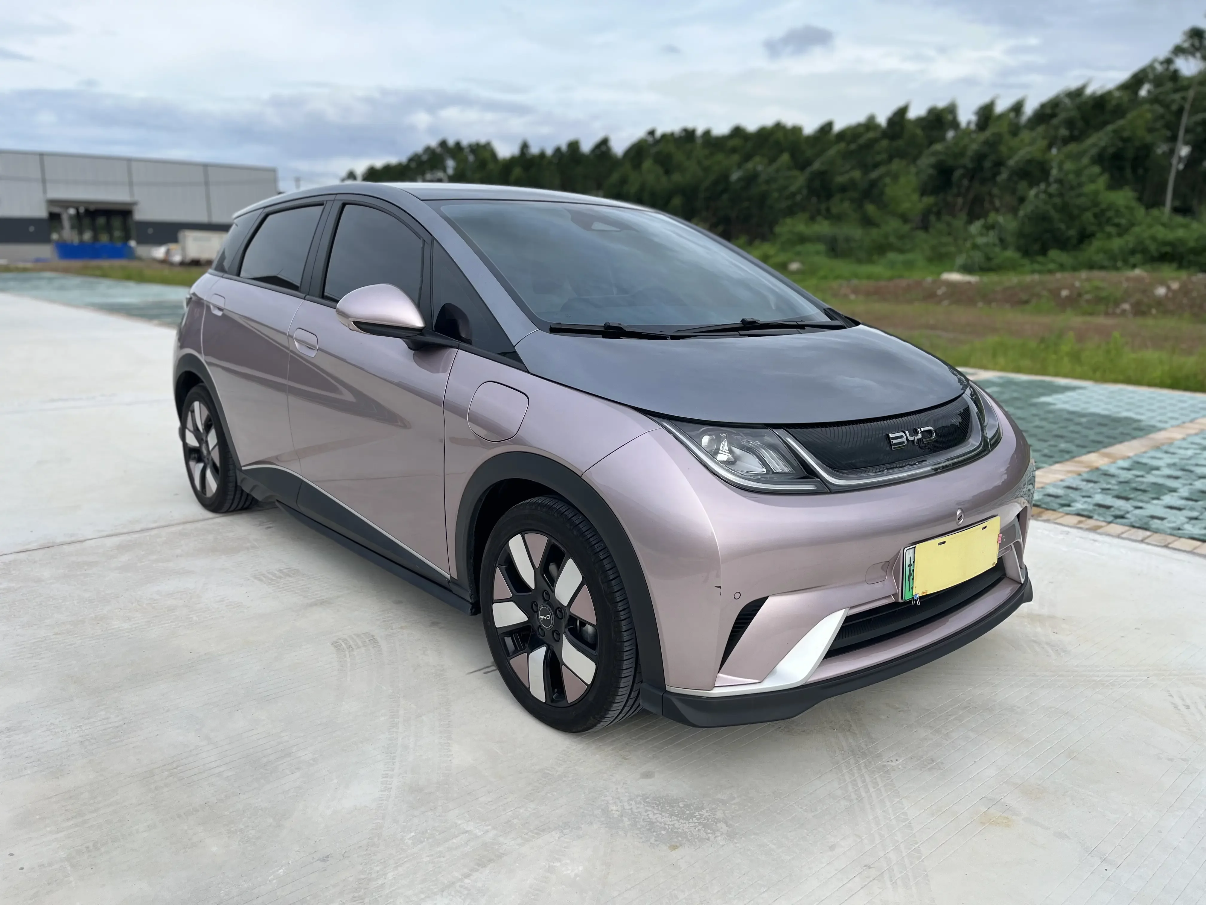 BYD dolphin