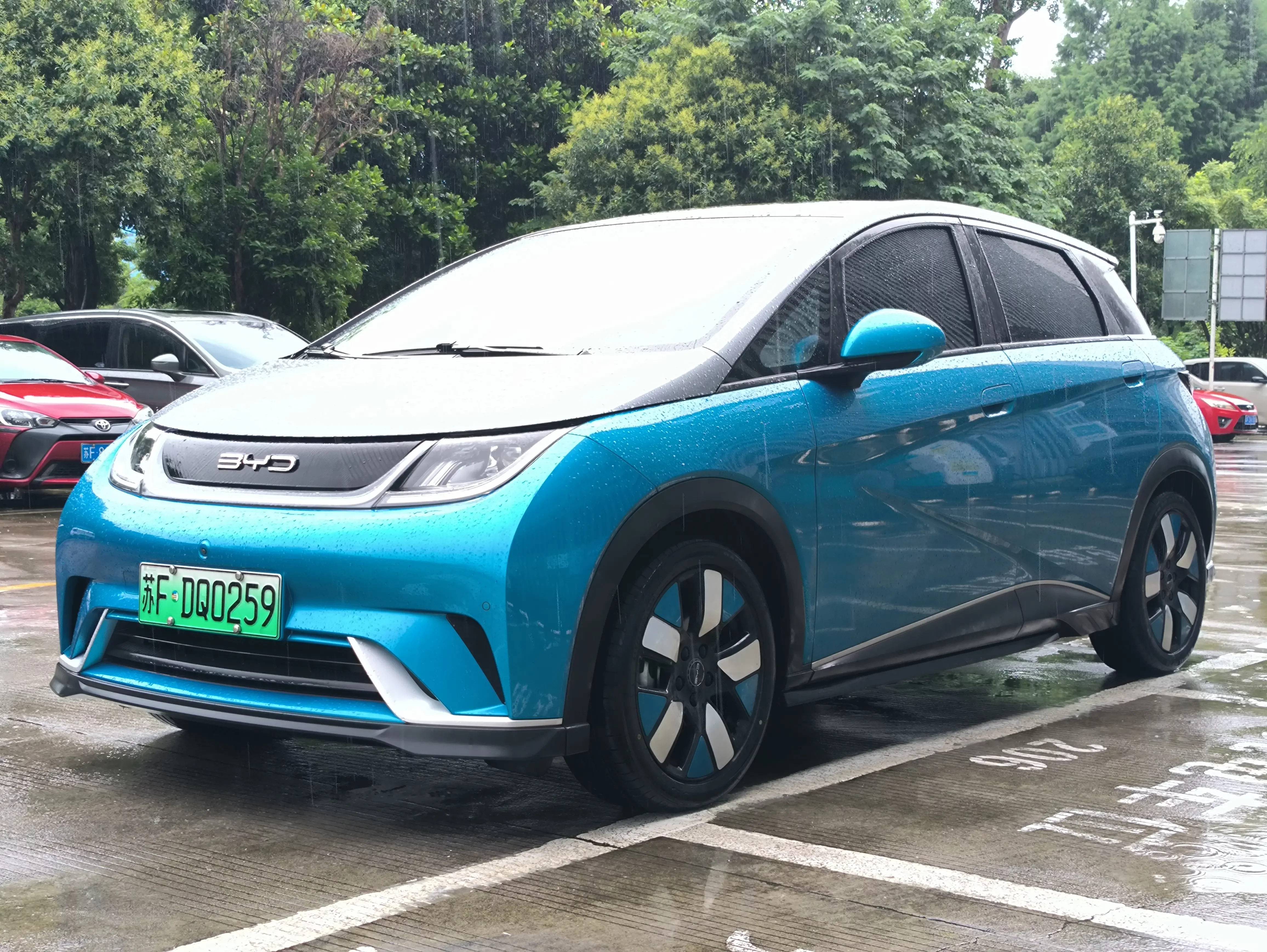 BYD dolphin
