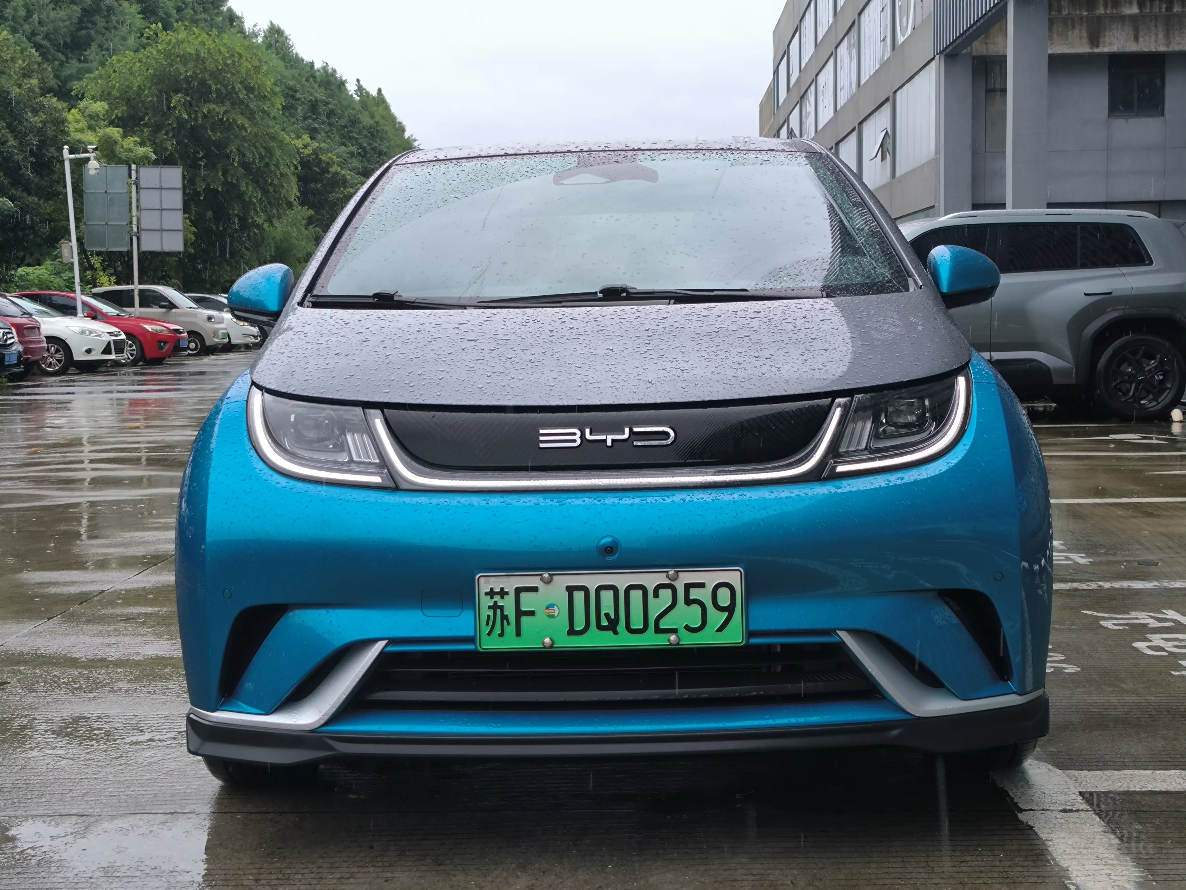 BYD dolphin