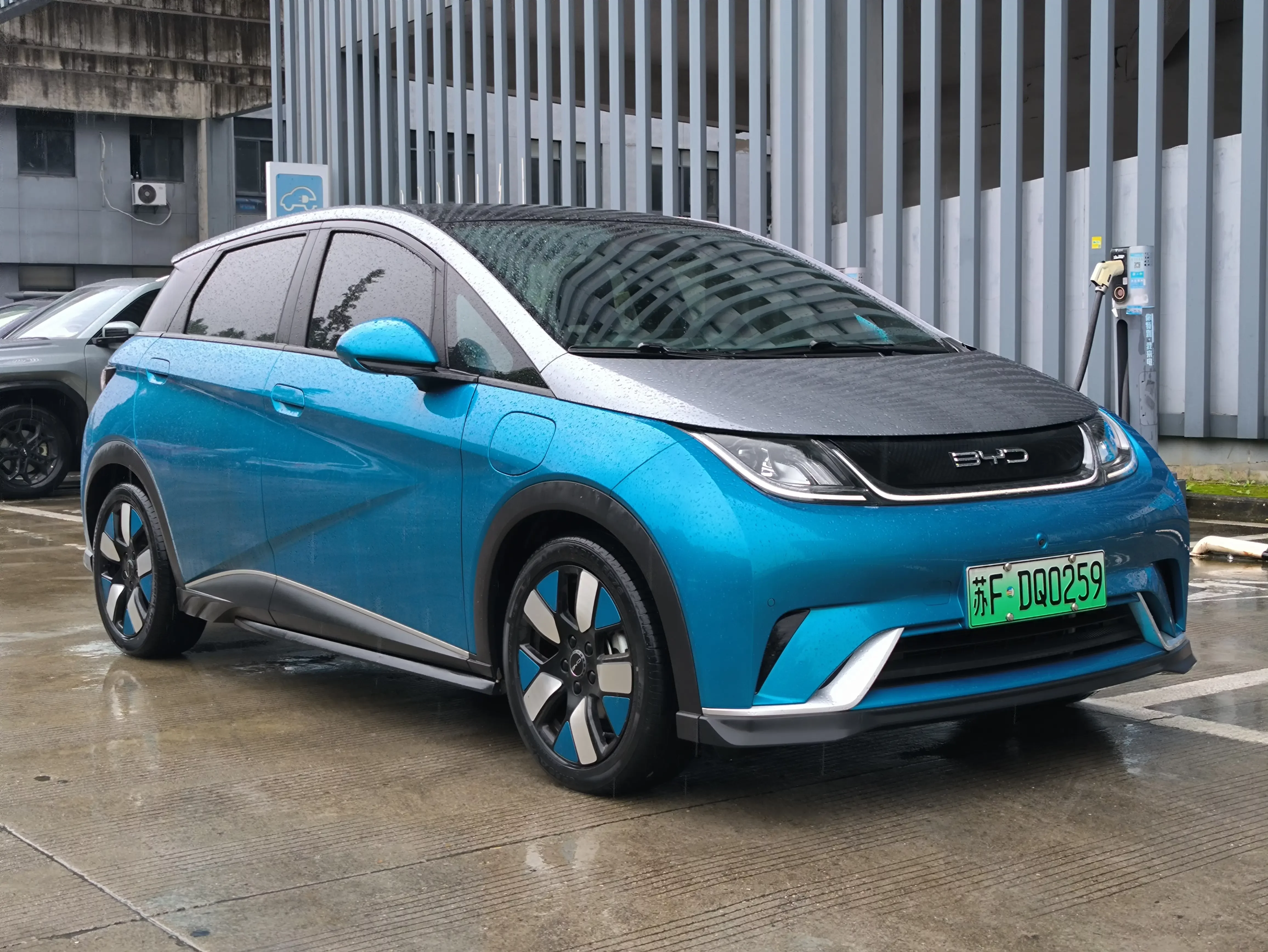 BYD dolphin