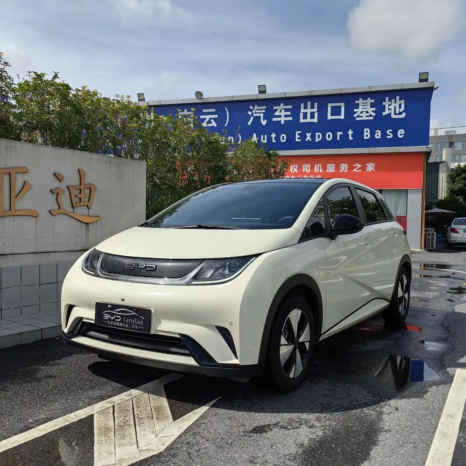BYD dolphin