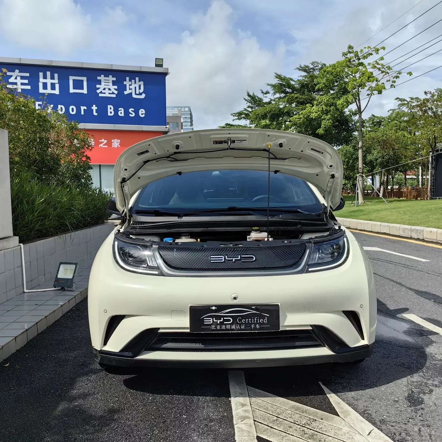 BYD dolphin