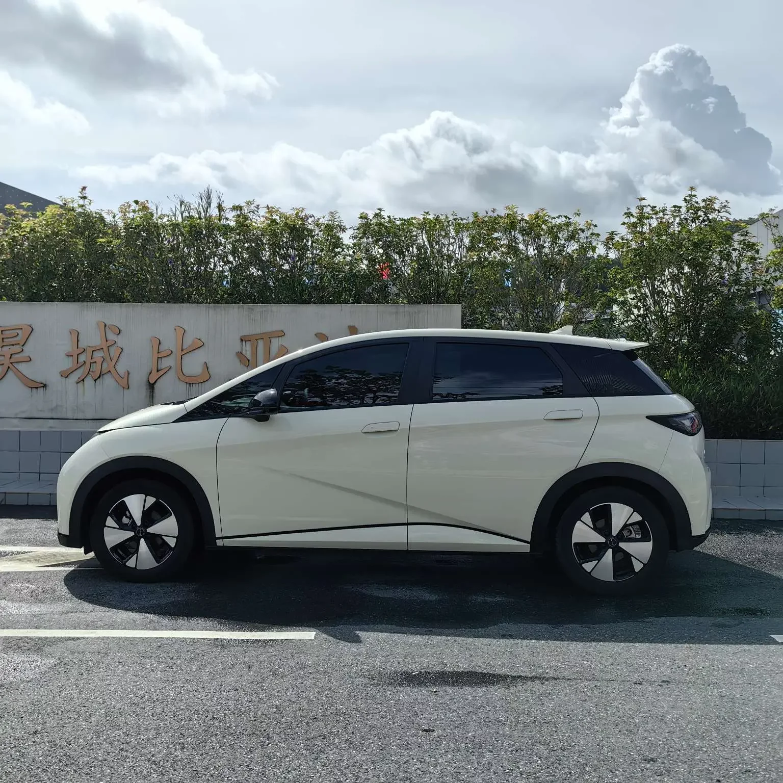 BYD dolphin