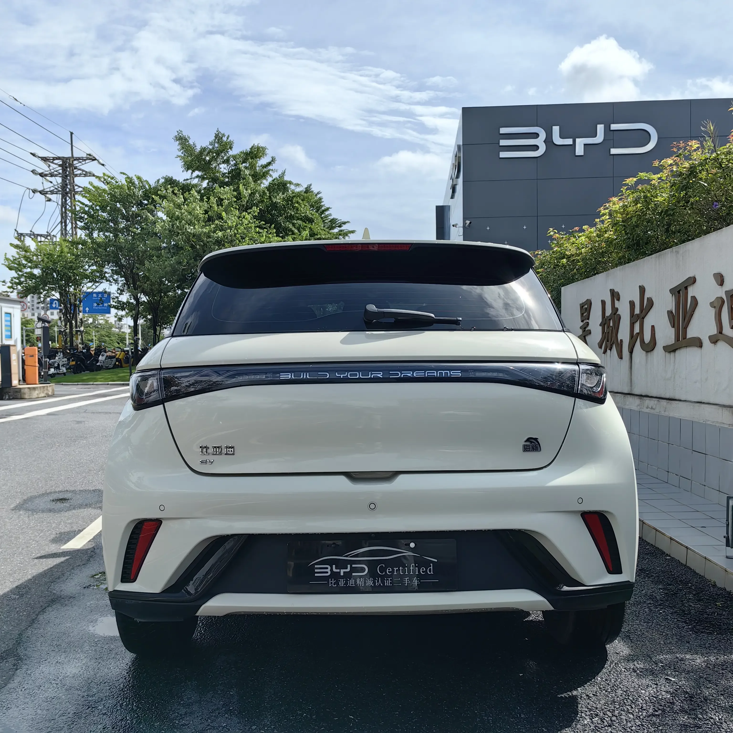 BYD dolphin