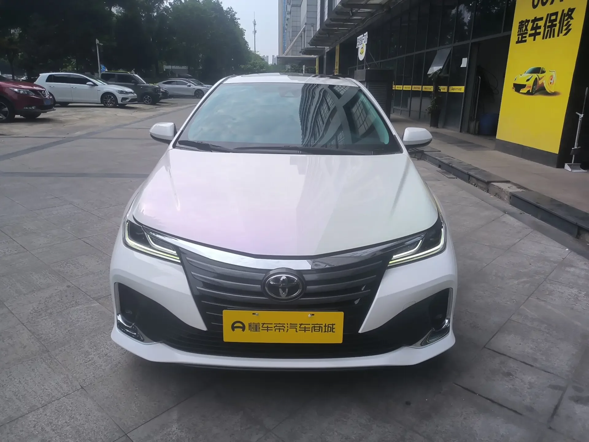 Toyota Asiatic lion