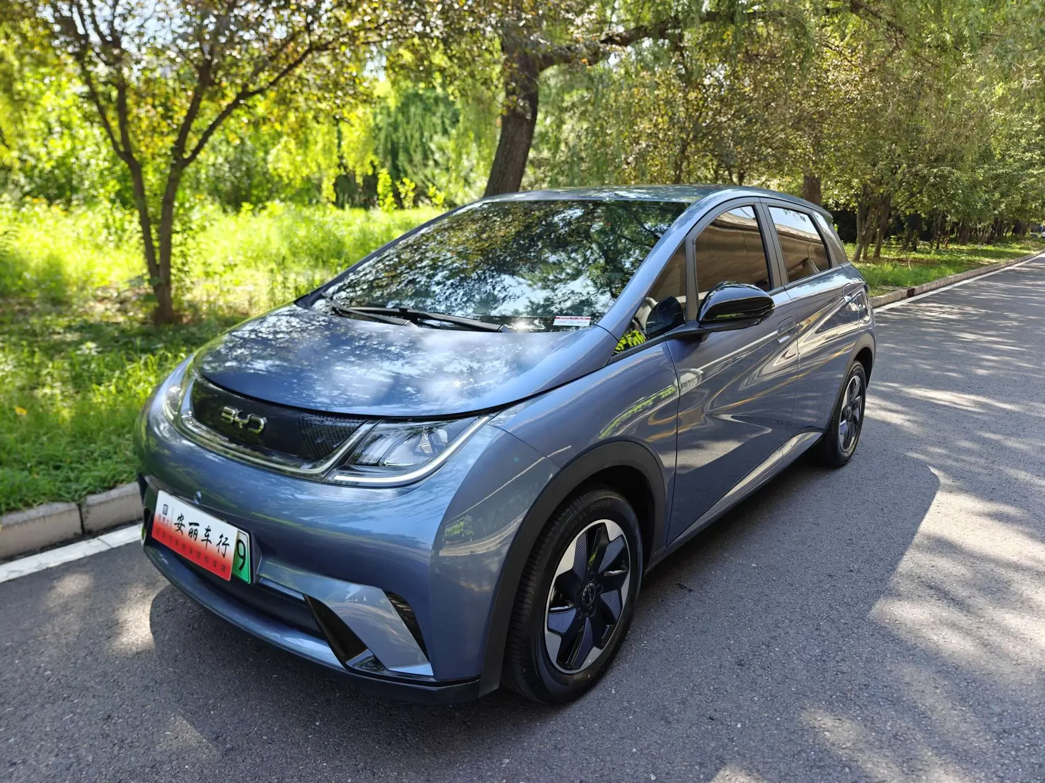 BYD dolphin