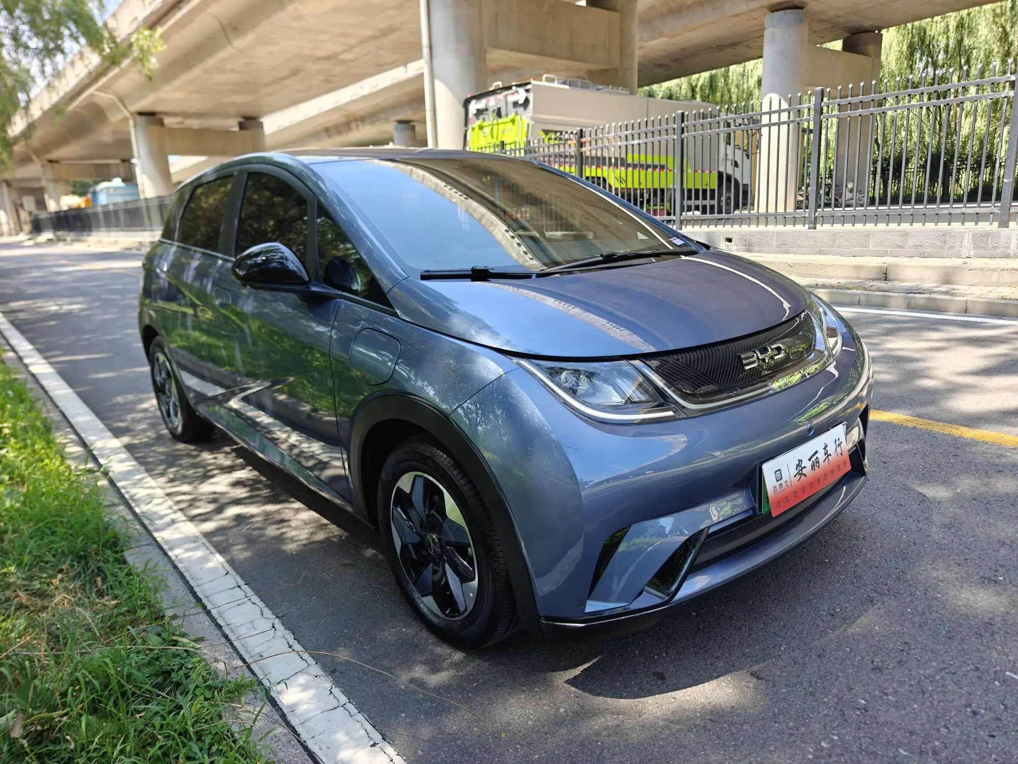 BYD dolphin