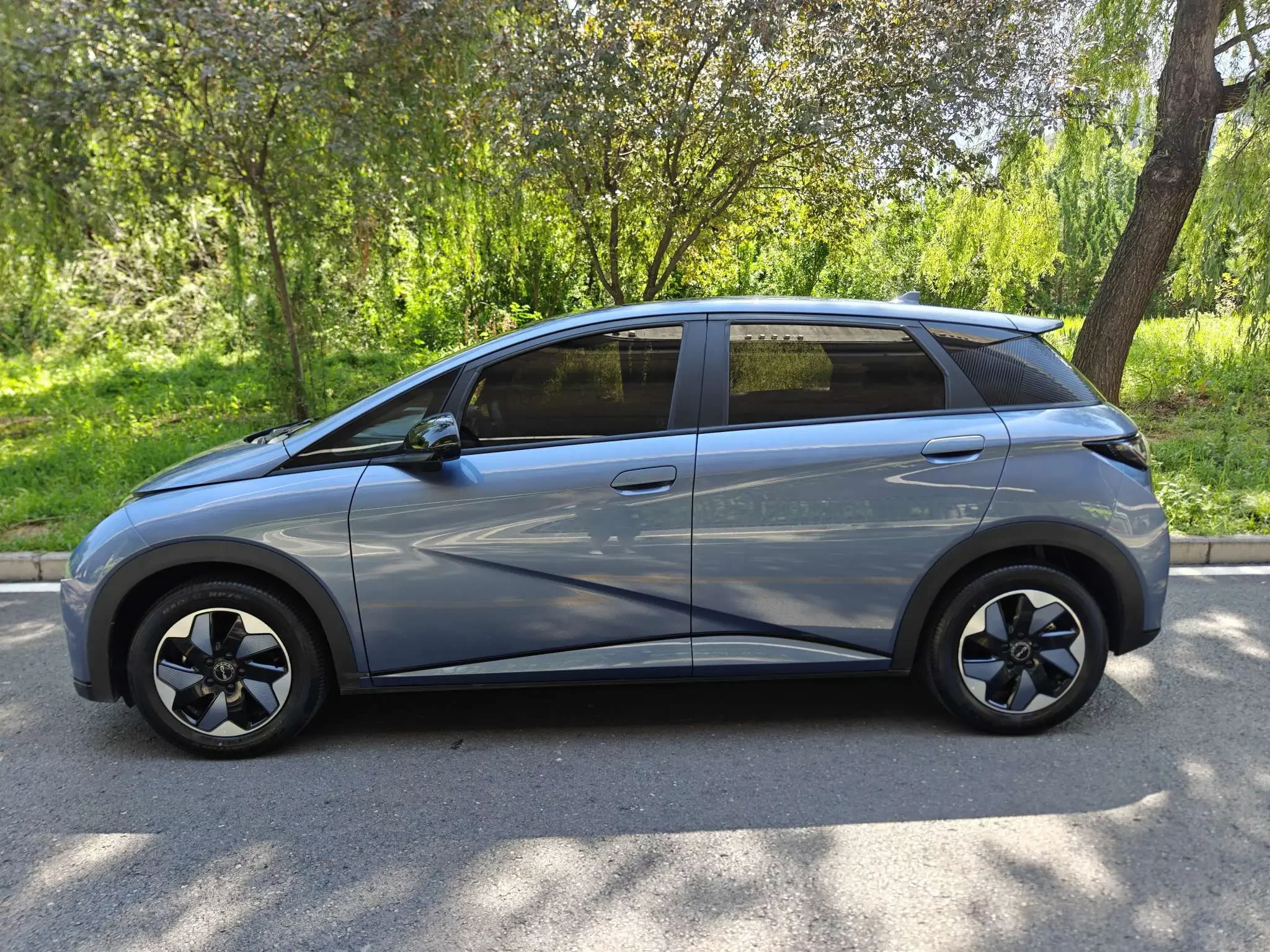 BYD dolphin