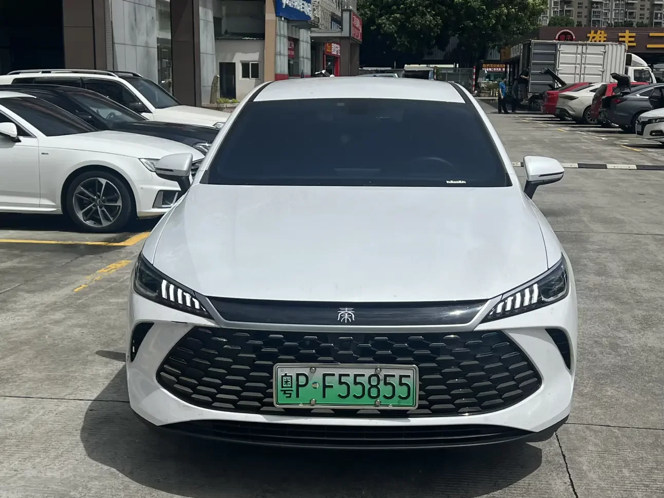 BYD Qin PLUS DM
