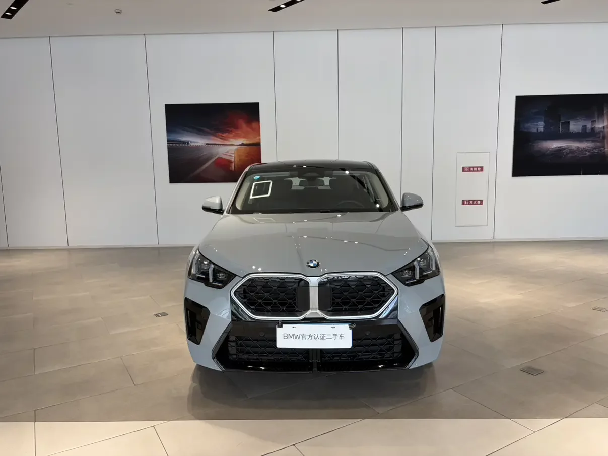 BMW X2