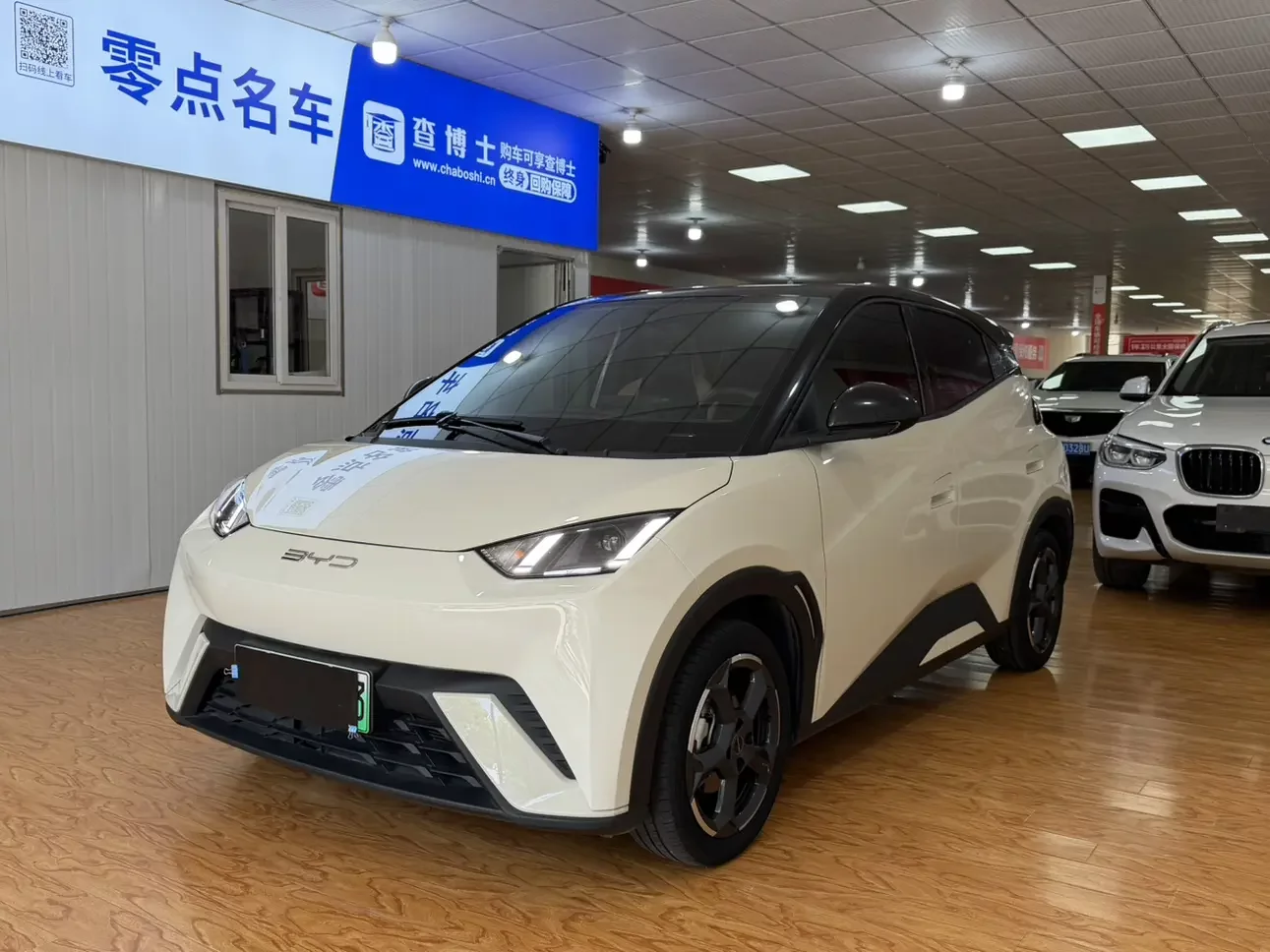 BYD seagull