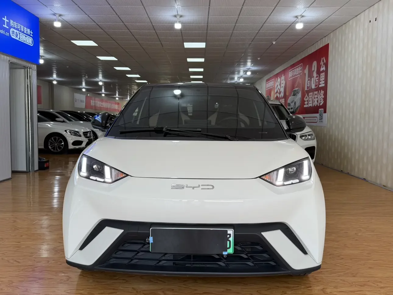 BYD seagull