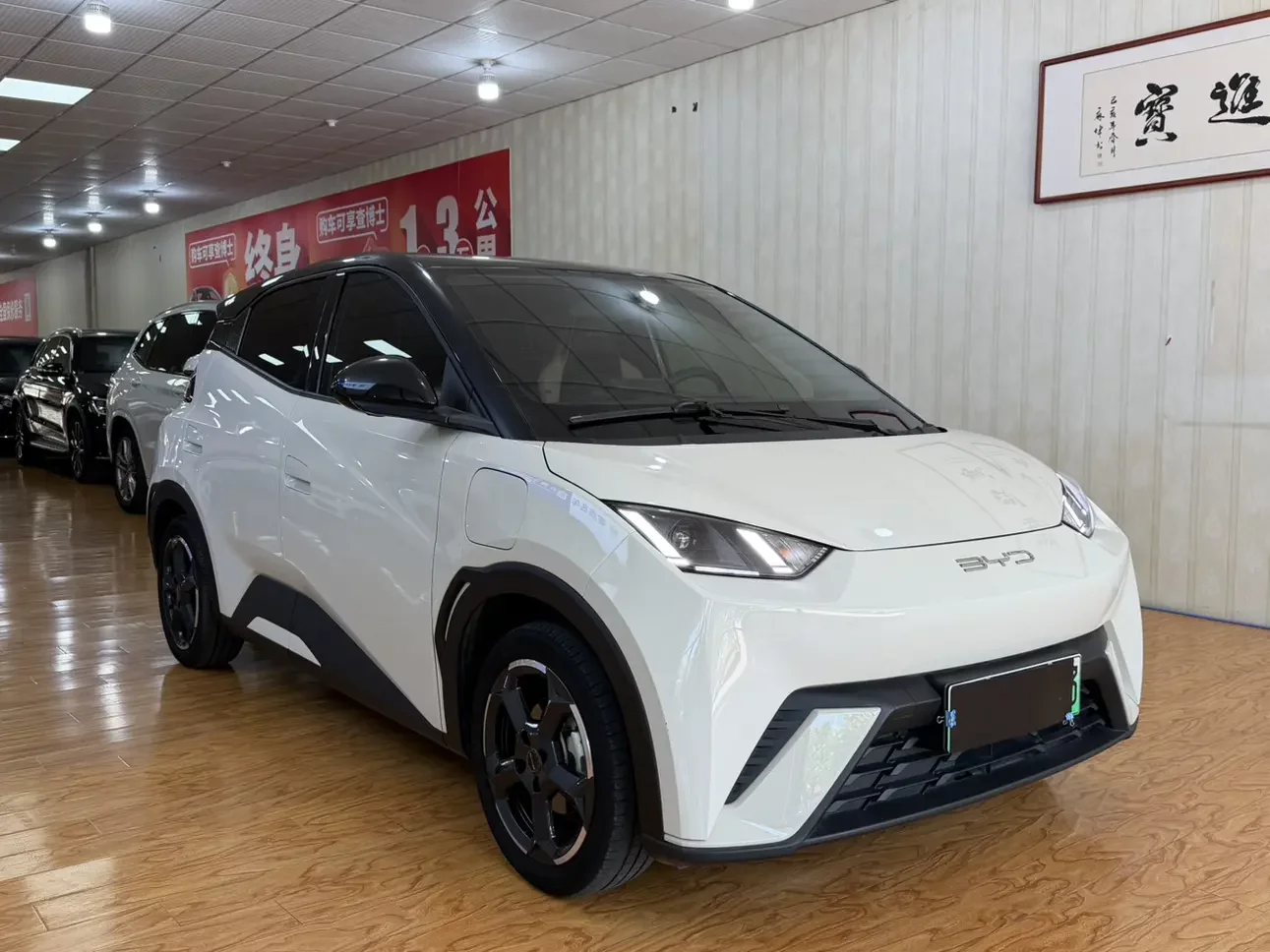 BYD seagull