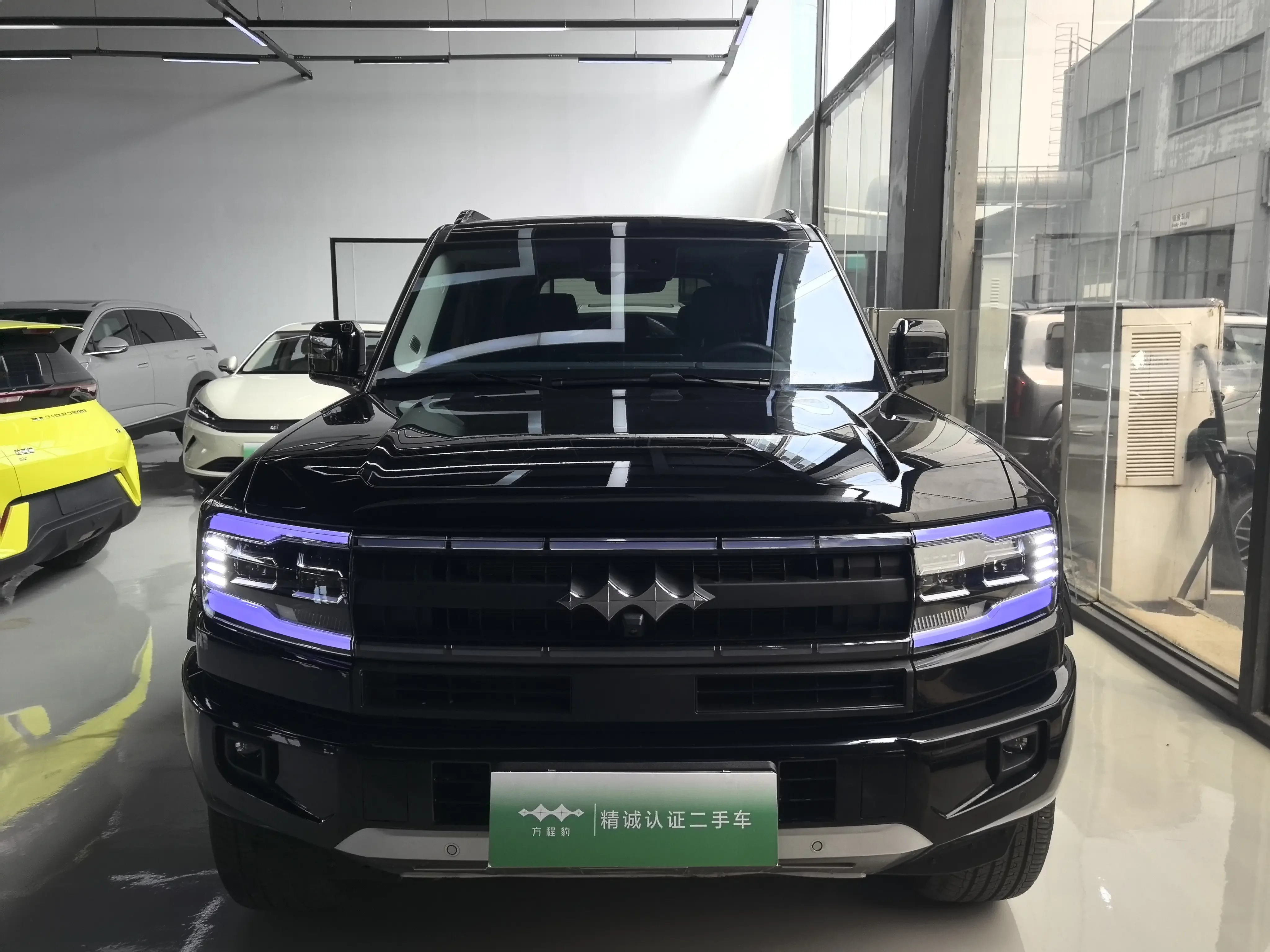 BYD Leopard Leopard 5