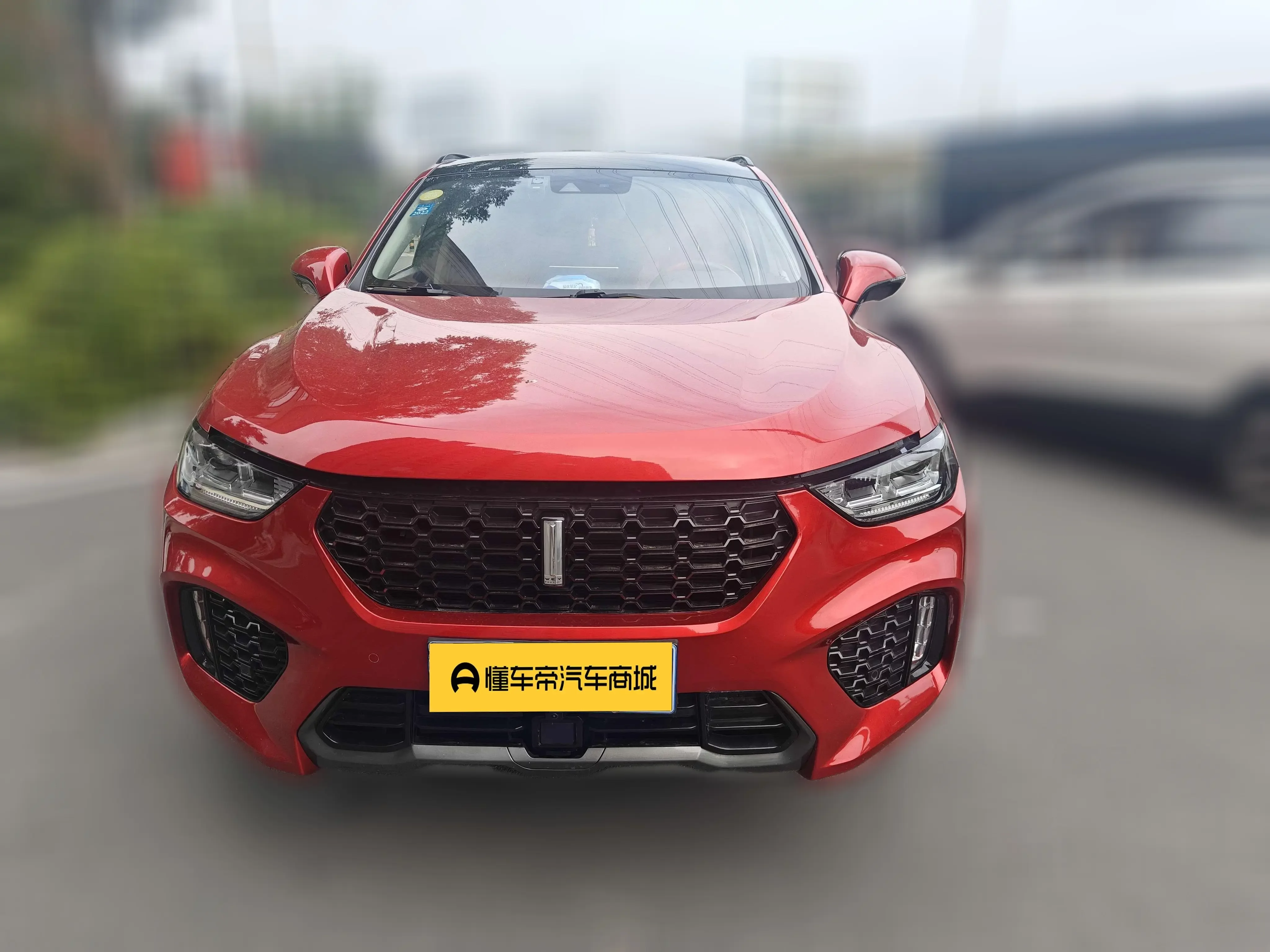 Wey Wei brand VV5