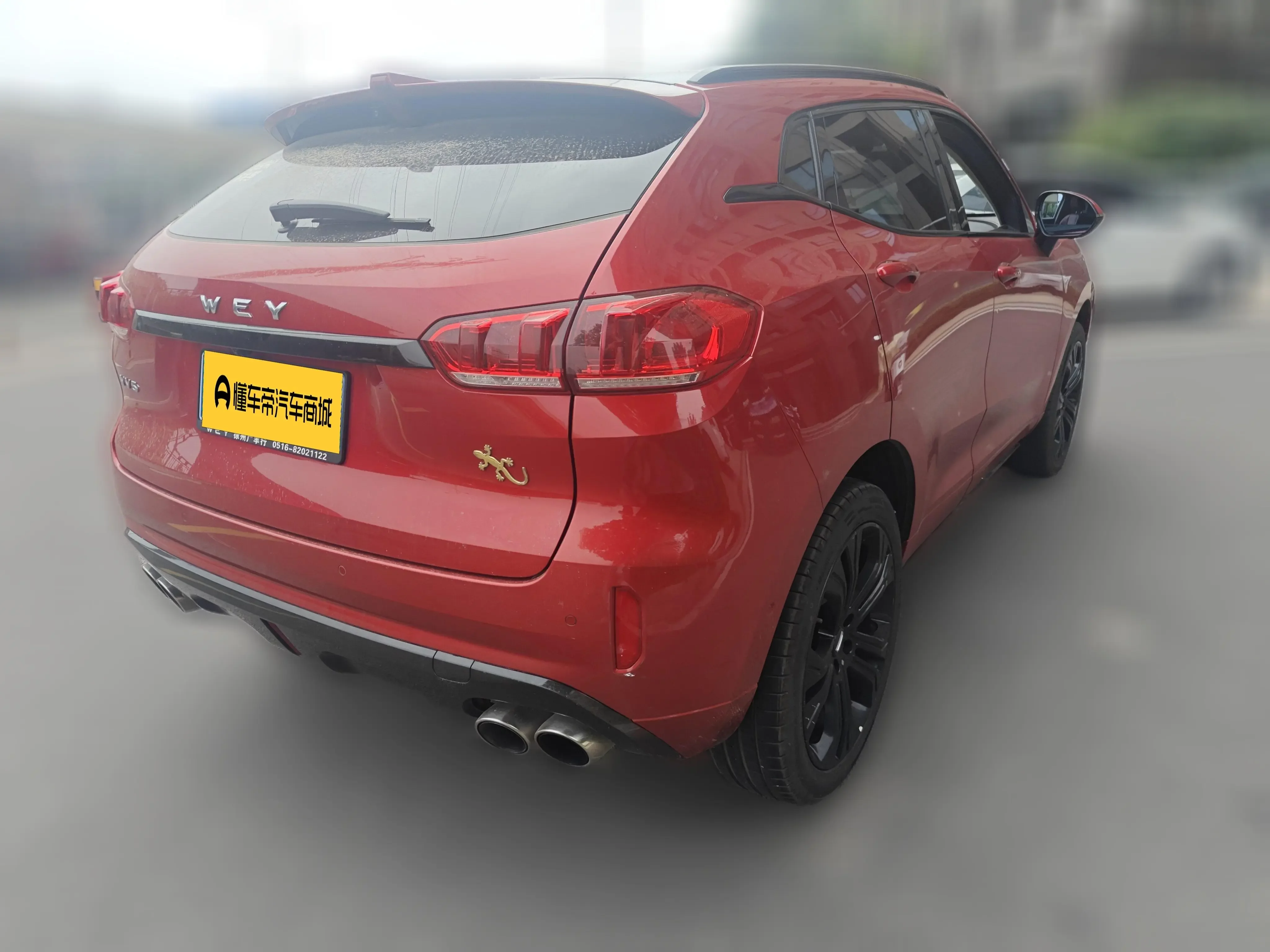 Wey Wei brand VV5