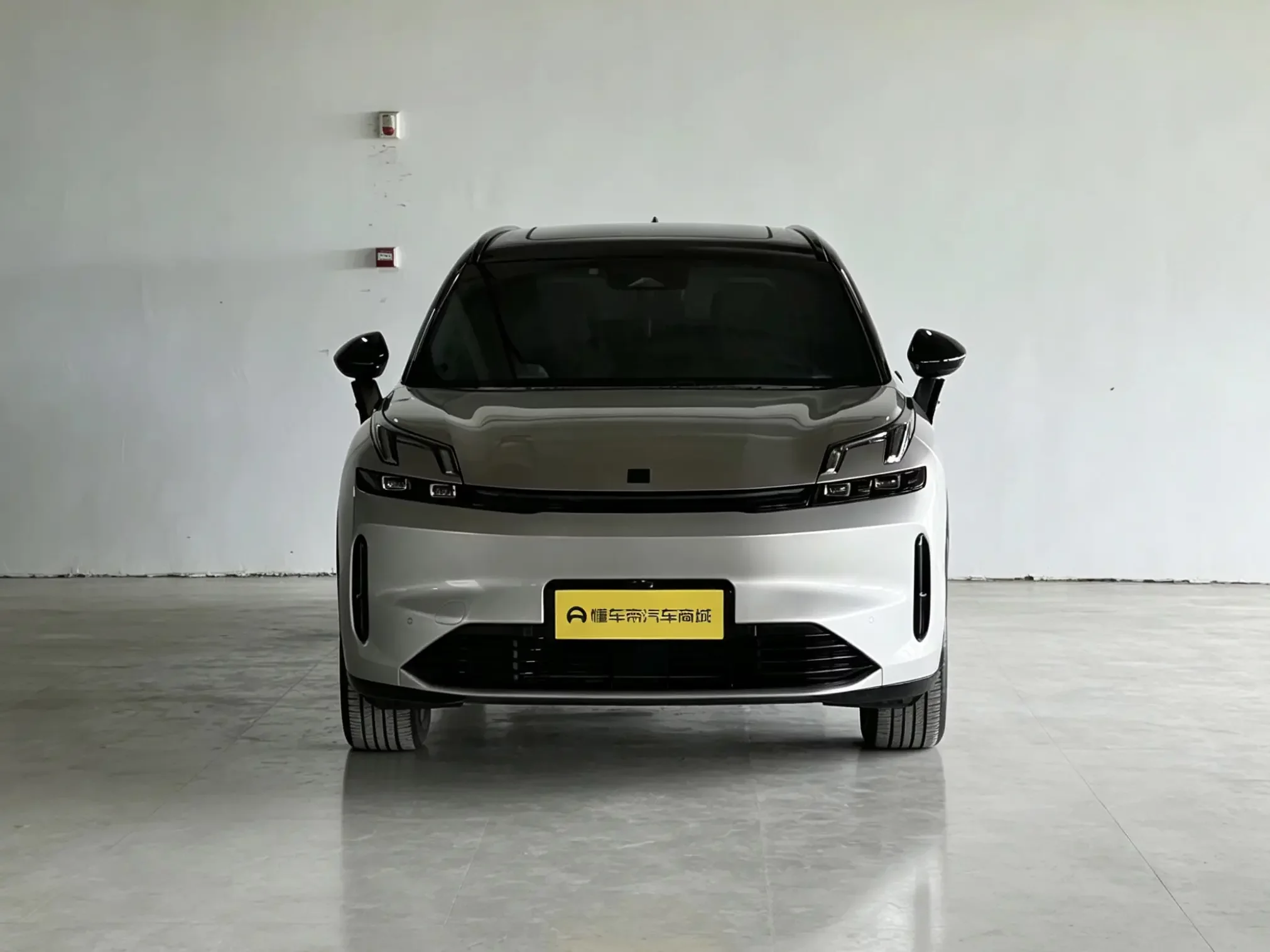 Lynk & Co 08 EM-P