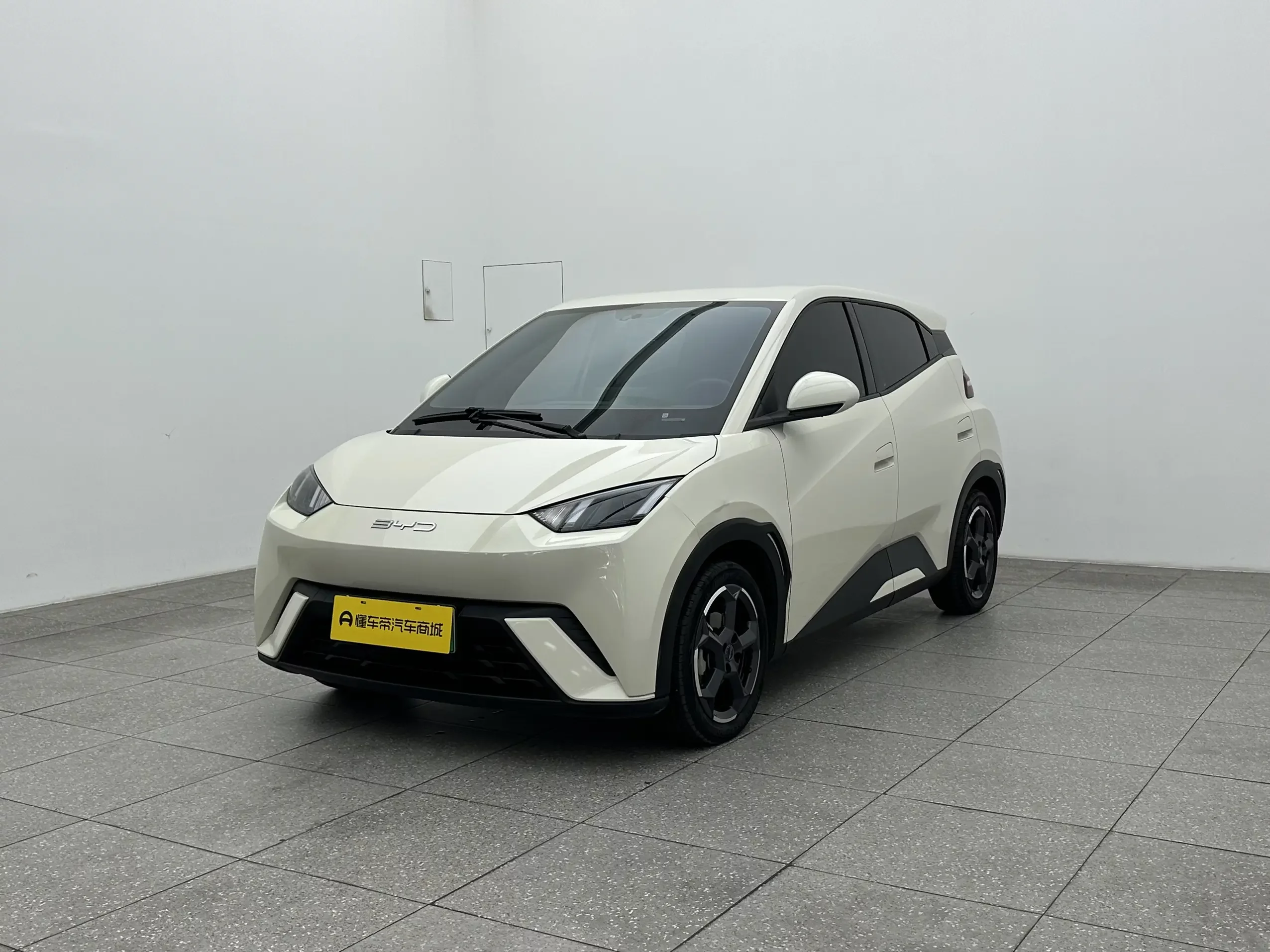 BYD seagull