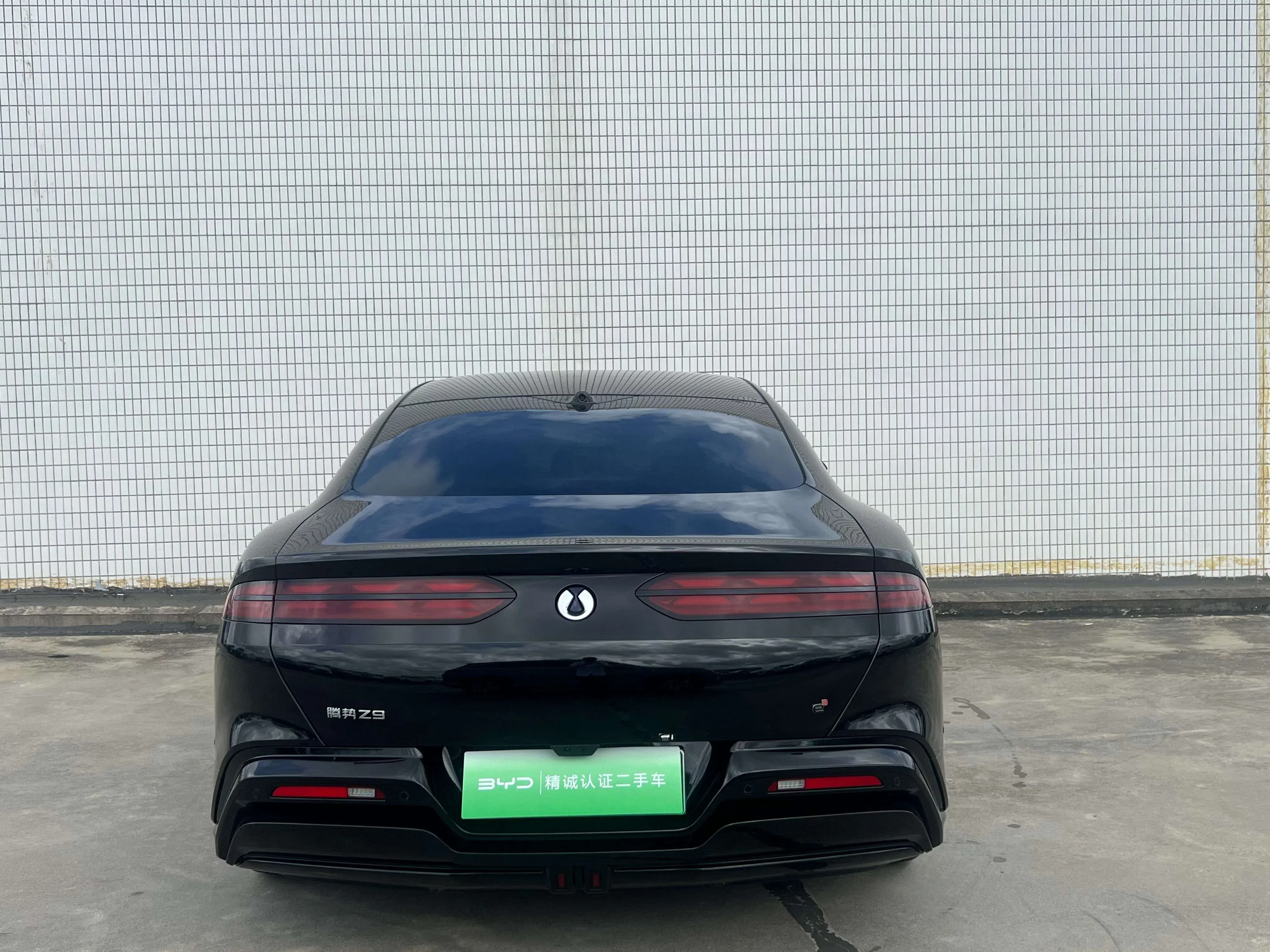 Denza Tengzhong Z9 DM