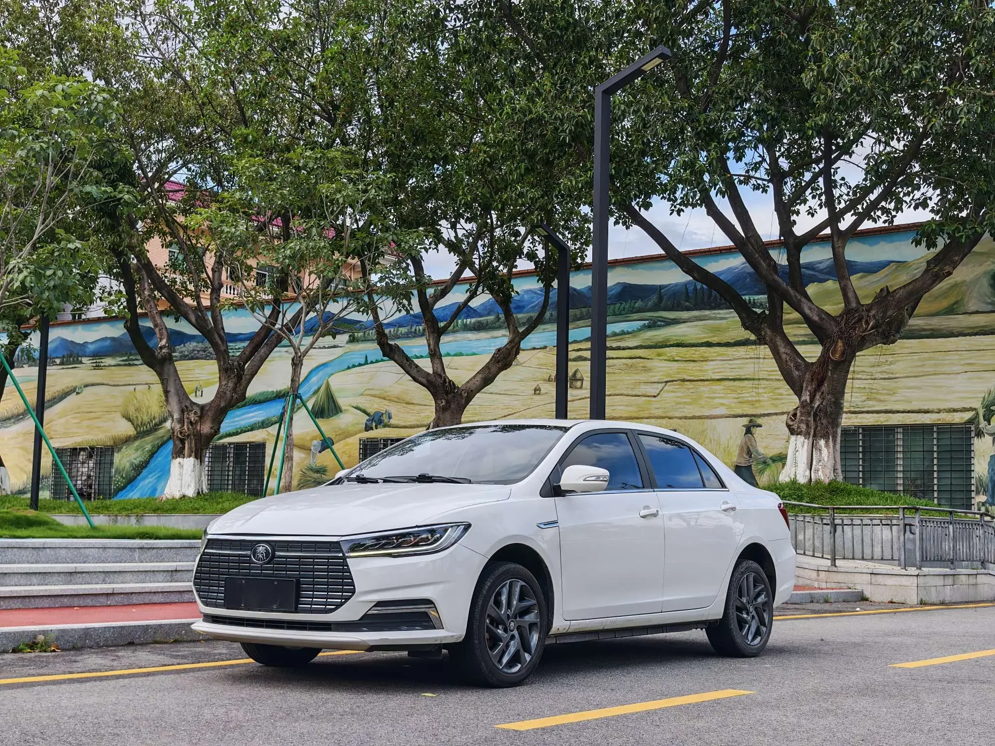 BYD QinEV  из Китая